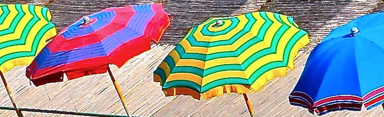 Sony DSC-M2 sample photo. Goodbye summer photography