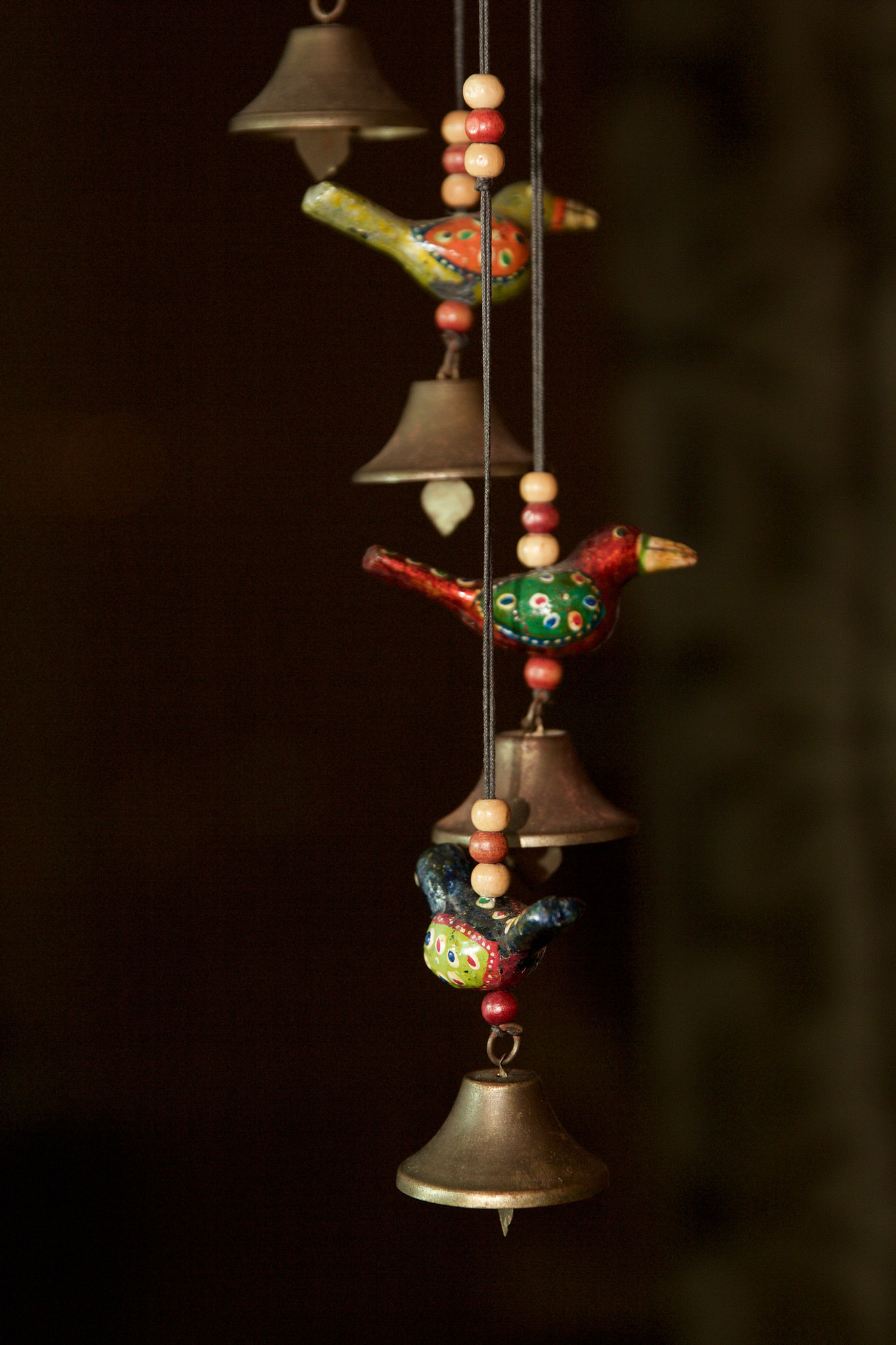 Canon EF 24-70mm F2.8L II USM sample photo. Connected photography