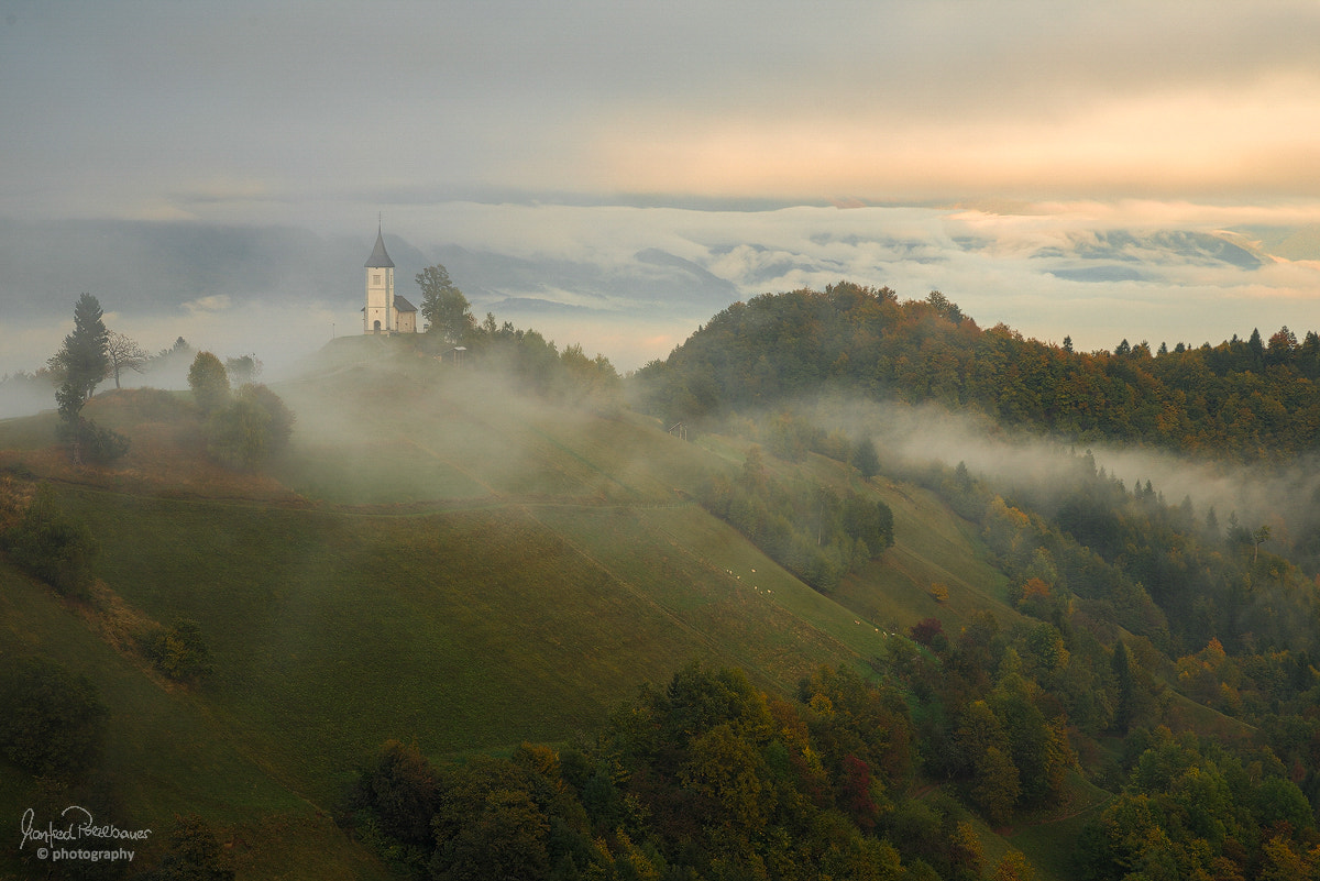 Sony a7R + Sony 70-400mm F4-5.6 G SSM sample photo. Foggy jamnik photography