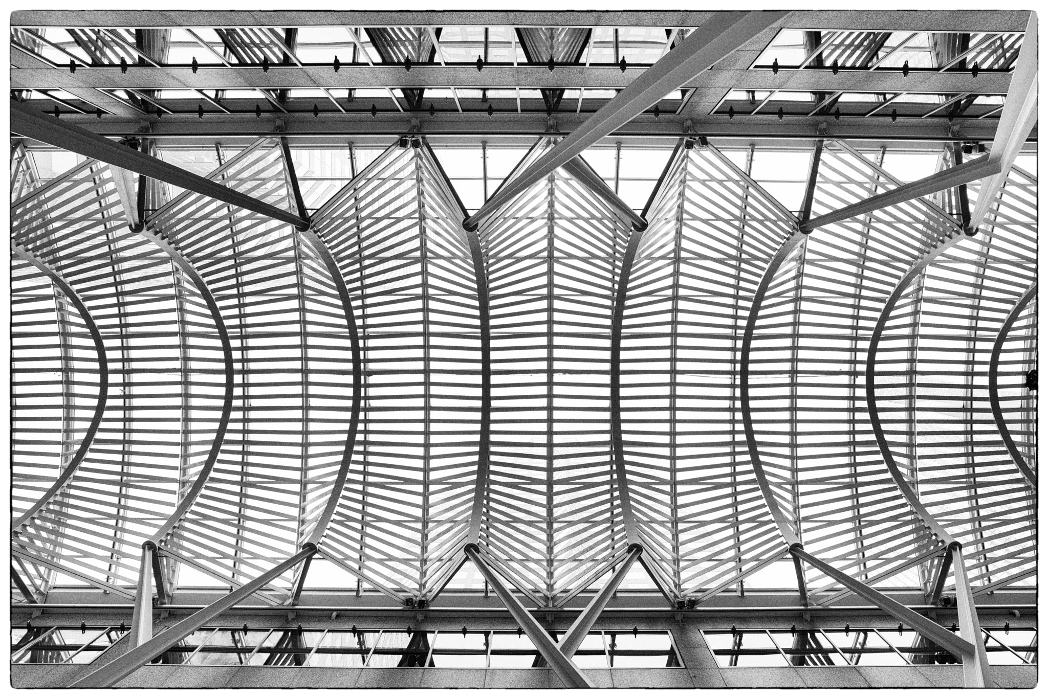 Nikon D810 + Nikon AF Nikkor 24mm F2.8D sample photo. Pattern of brookfield place photography