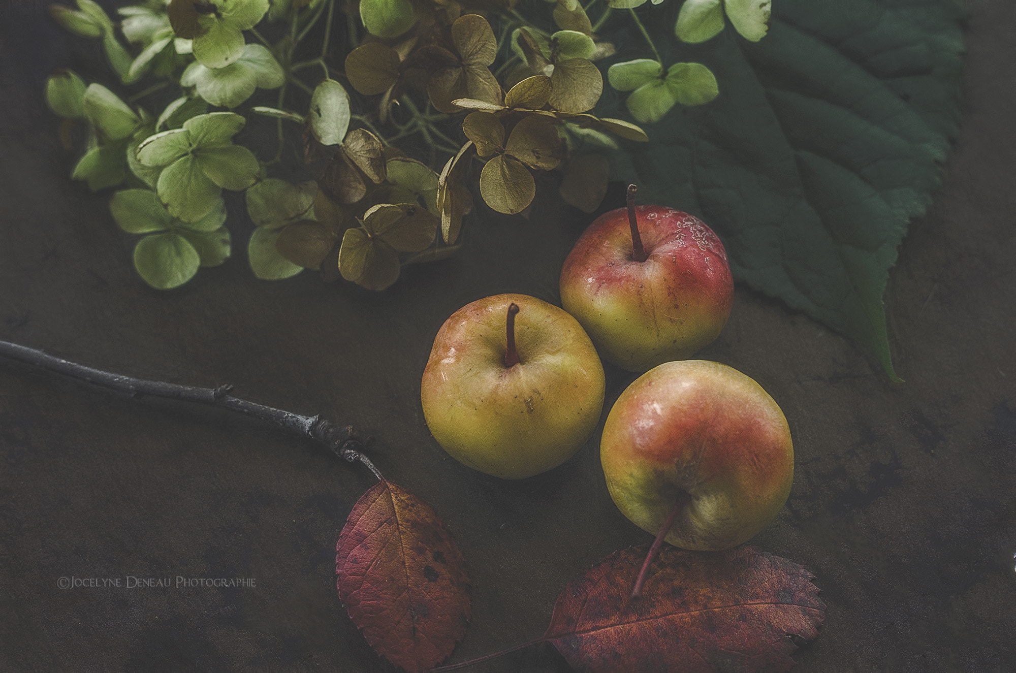 Pentax K-5 sample photo. Crab apples photography