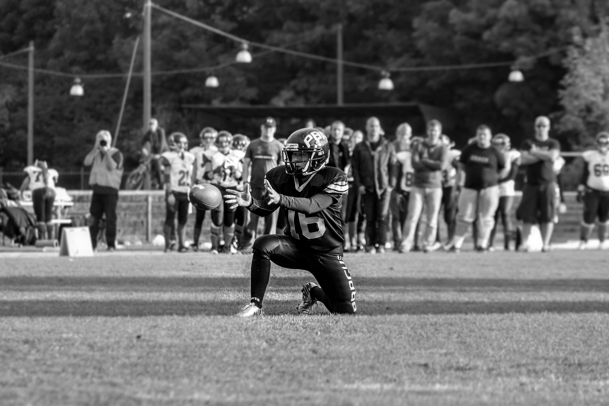 Canon EF 75-300mm F4.0-5.6 IS USM sample photo. Prague black cats - catcher photography