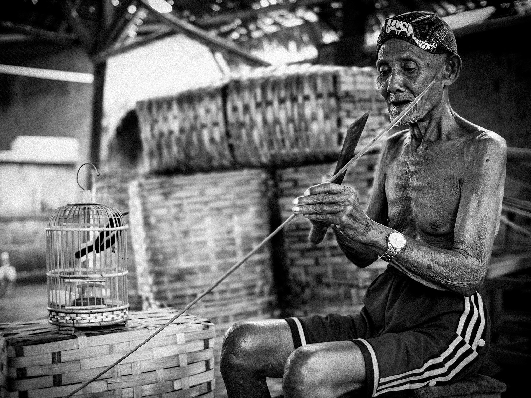 Olympus PEN-F sample photo. Making bamboo photography