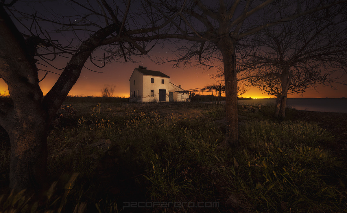 Canon EF 11-24mm F4L USM sample photo. The house of three trees photography