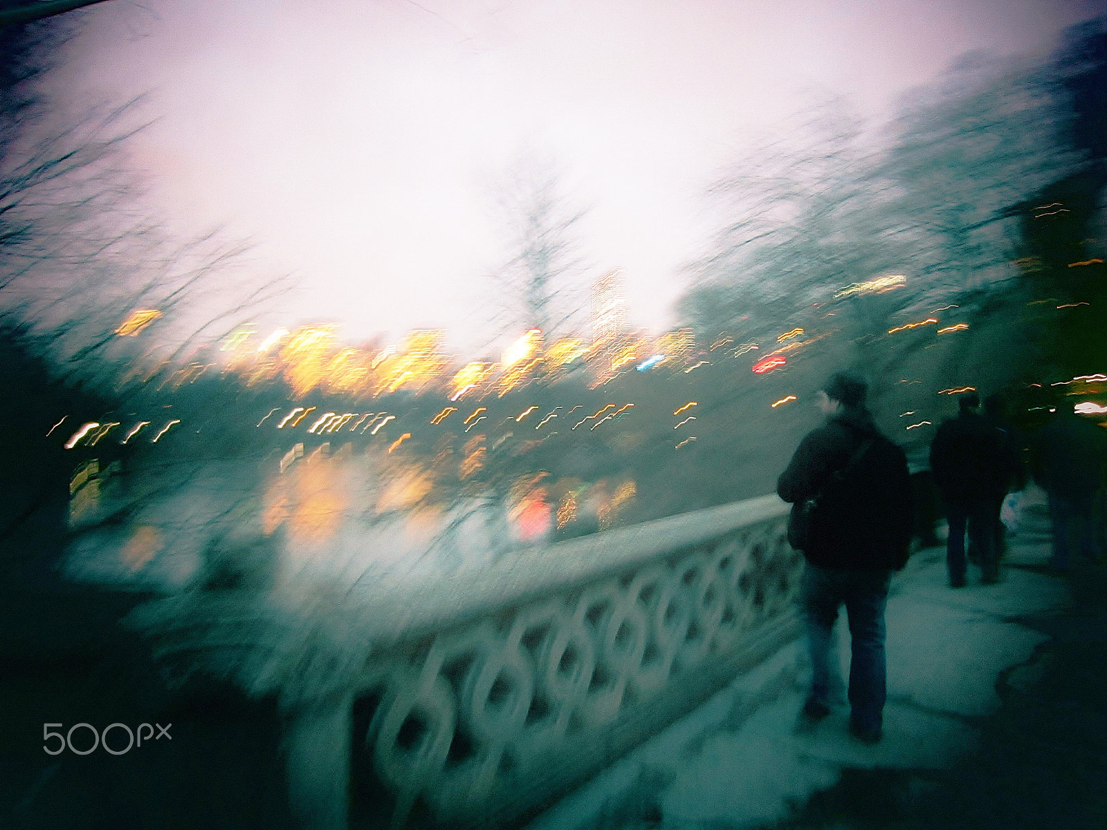 Canon PowerShot ELPH 300 HS (IXUS 220 HS / IXY 410F) sample photo. Memory of a park - central park, ny photography