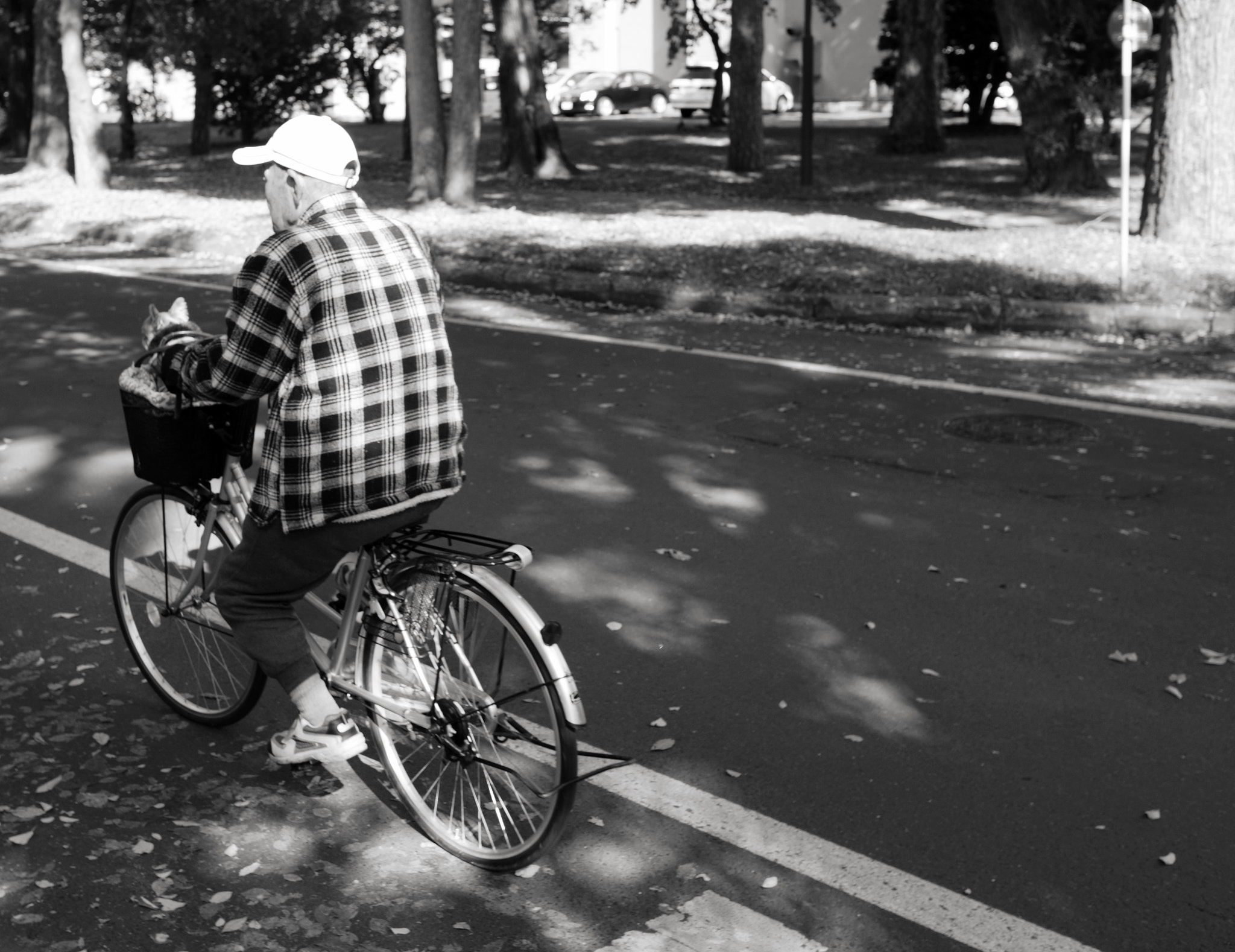 Sony a6000 + Sony Sonnar T* E 24mm F1.8 ZA sample photo. Cat and the old man photography