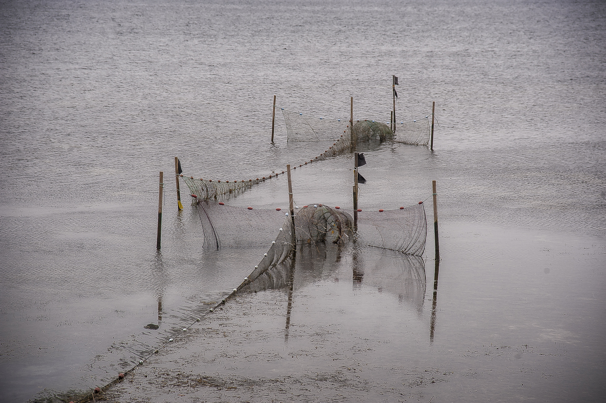 Nikon D3 sample photo. Fishing photography