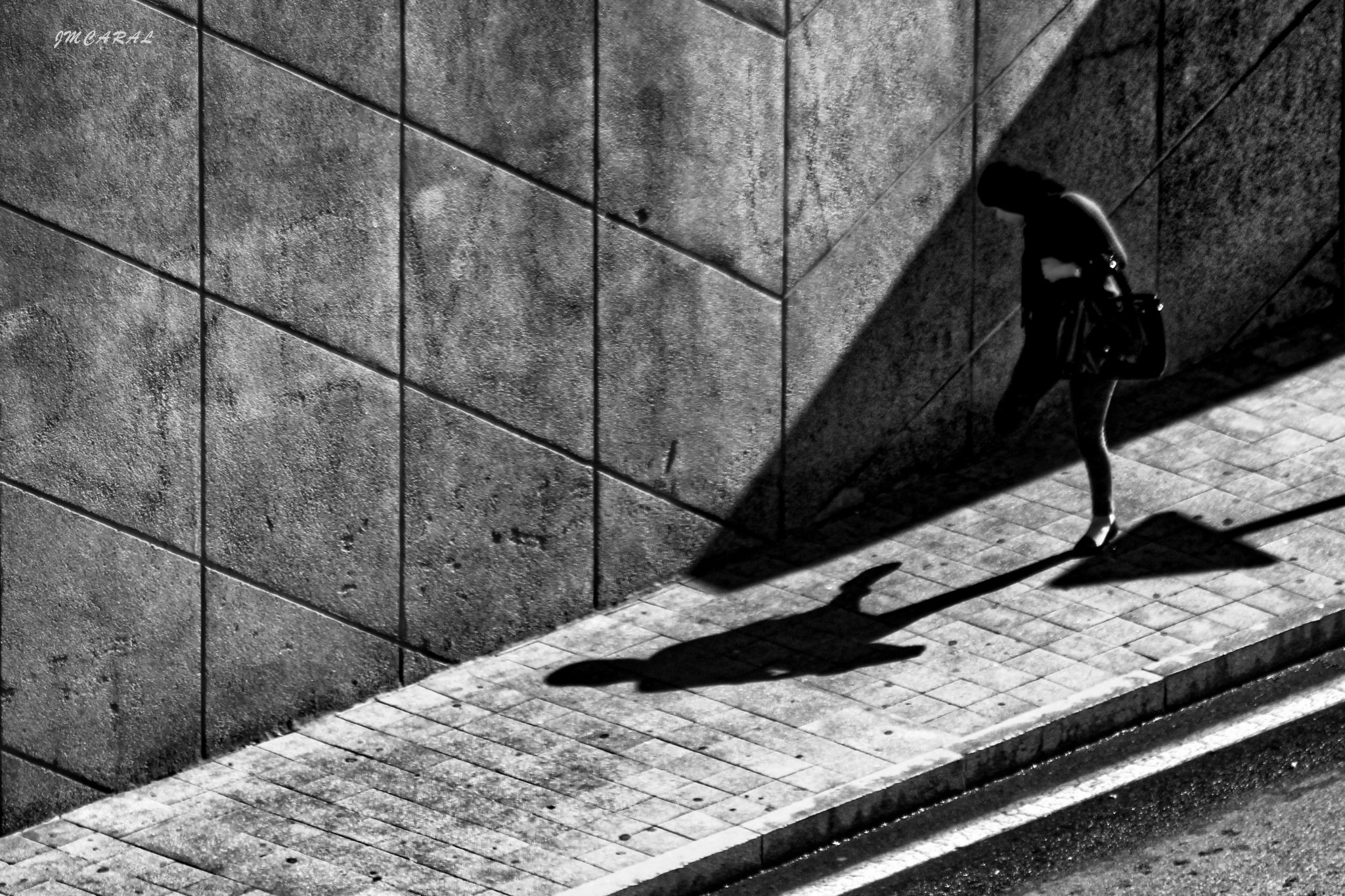 Canon EF 70-300mm F4-5.6 IS USM sample photo. "a la pata coja". photography