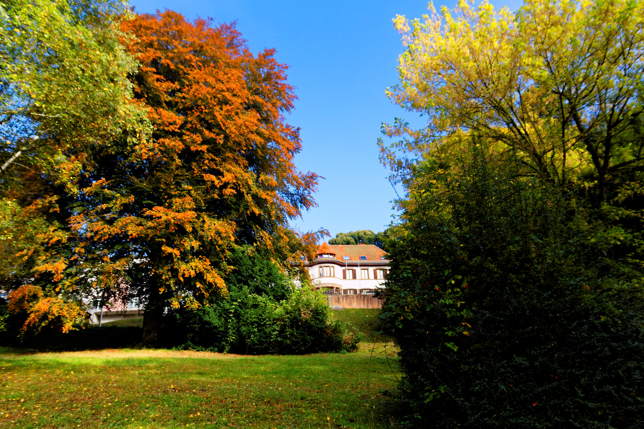 Sigma 17-70mm F2.8-4 DC Macro OS HSM sample photo. Couleurs d'automne photography