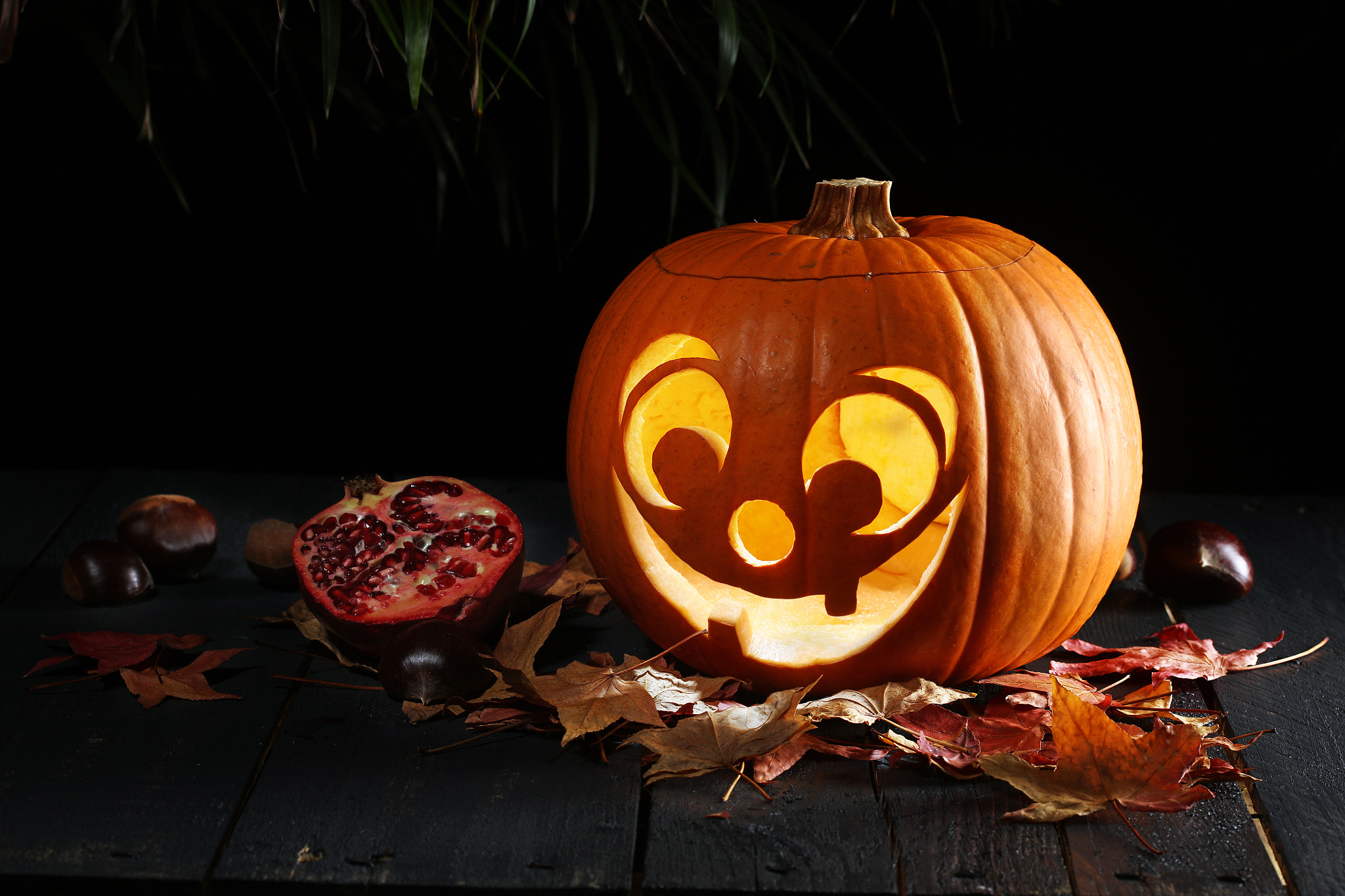 Canon EF 100mm F2.8 Macro USM sample photo. Pumpkin photography