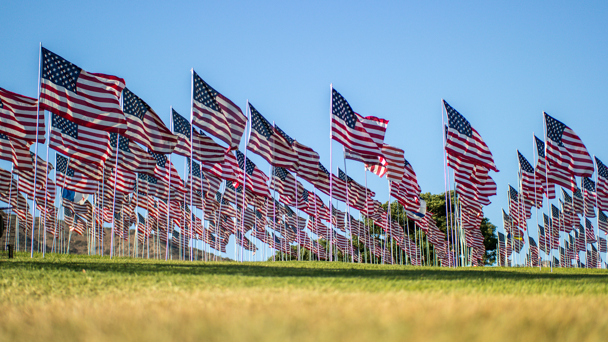 Samsung NX 45mm F1.8 sample photo. Flags! photography