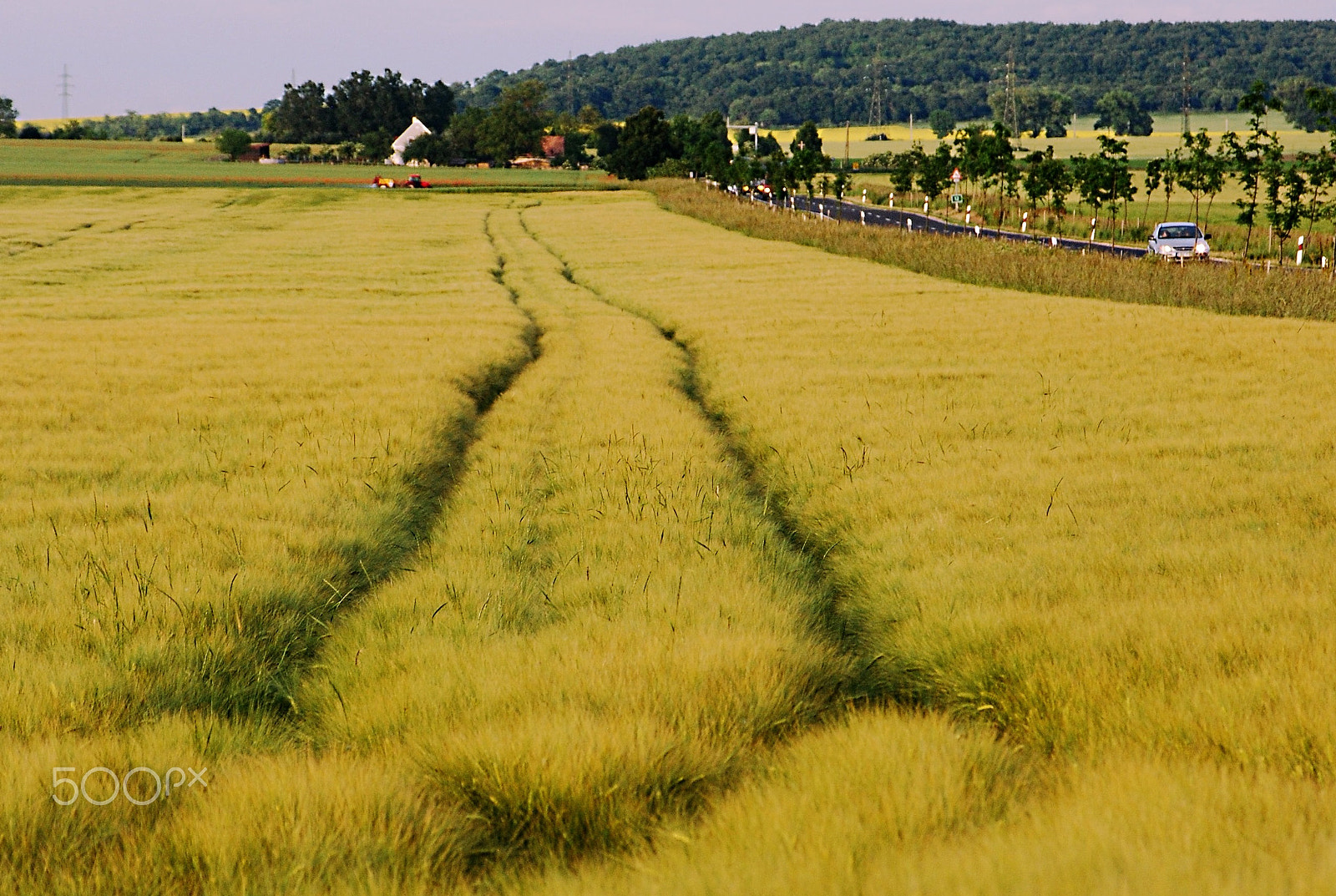 AF Zoom-Nikkor 28-105mm f/3.5-4.5D IF sample photo. Country road, hungary, near tótvázsony photography
