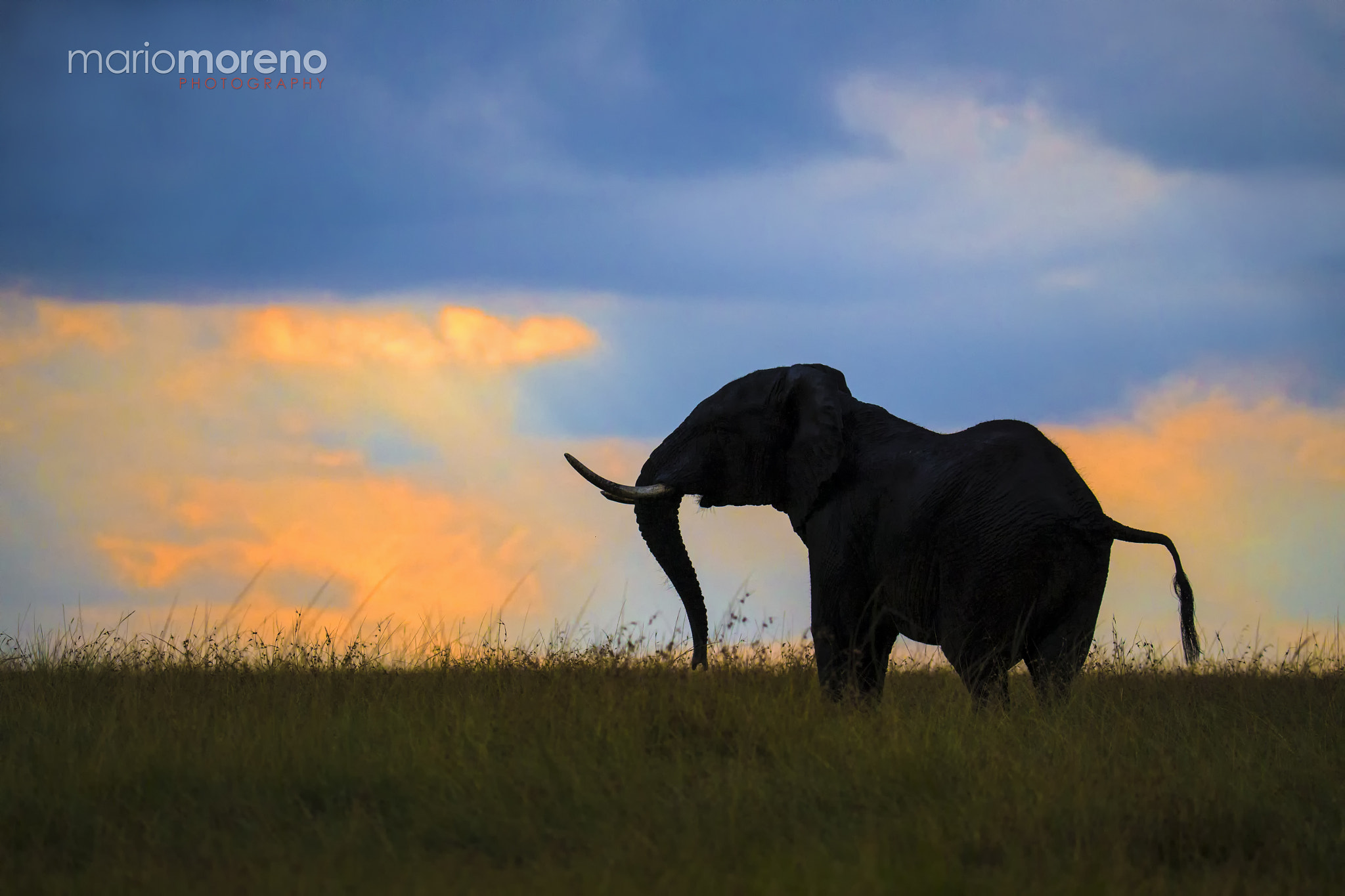 Canon EF 200-400mm F4L IS USM Extender 1.4x sample photo. Sunset attitude photography