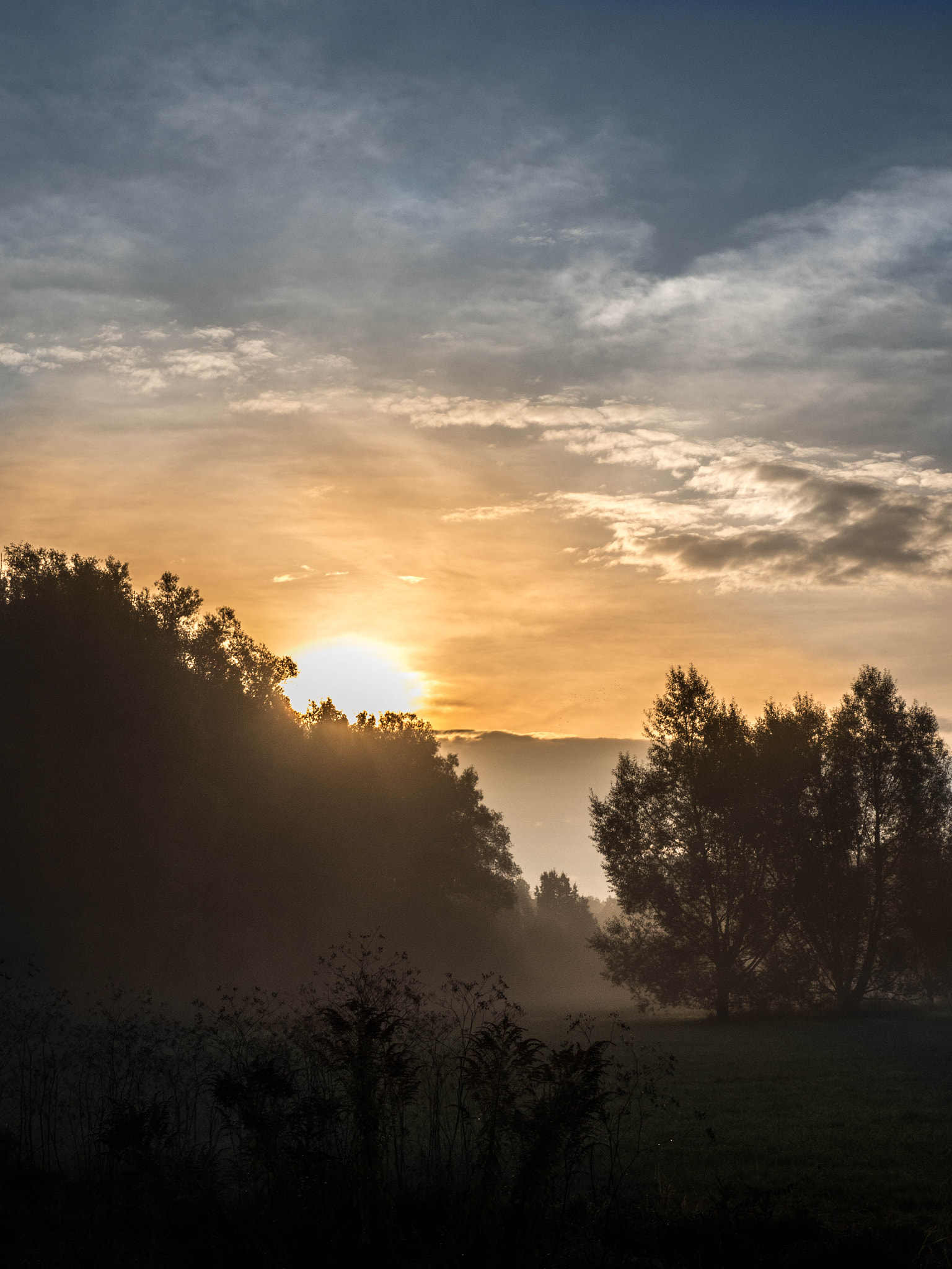OLYMPUS M.14-150mm F4.0-5.6 II sample photo. Nebel bei sonnenaufgang photography