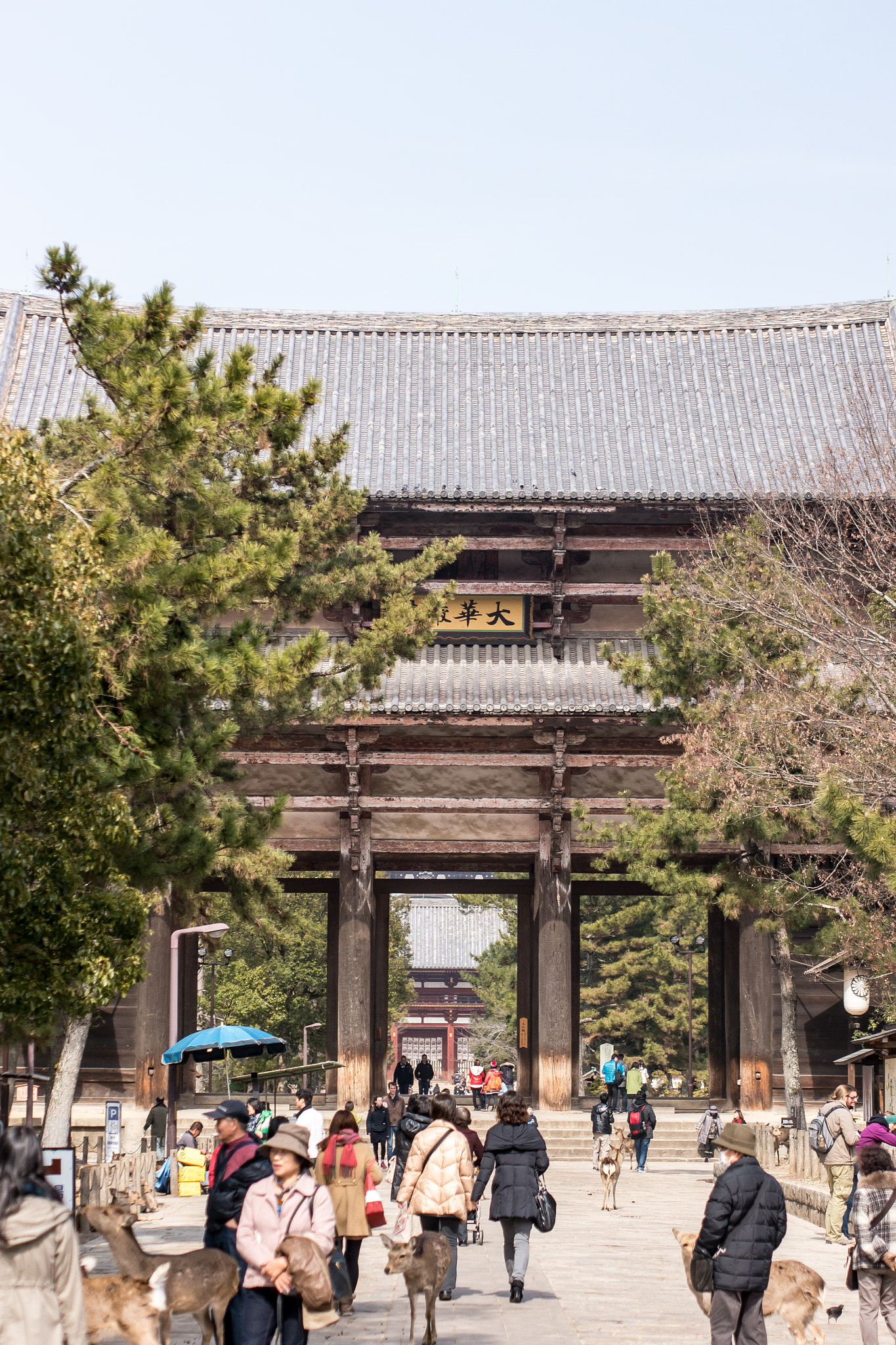 Panasonic Lumix DMC-G5 + Olympus M.Zuiko Digital 45mm F1.8 sample photo. Path to the temple photography