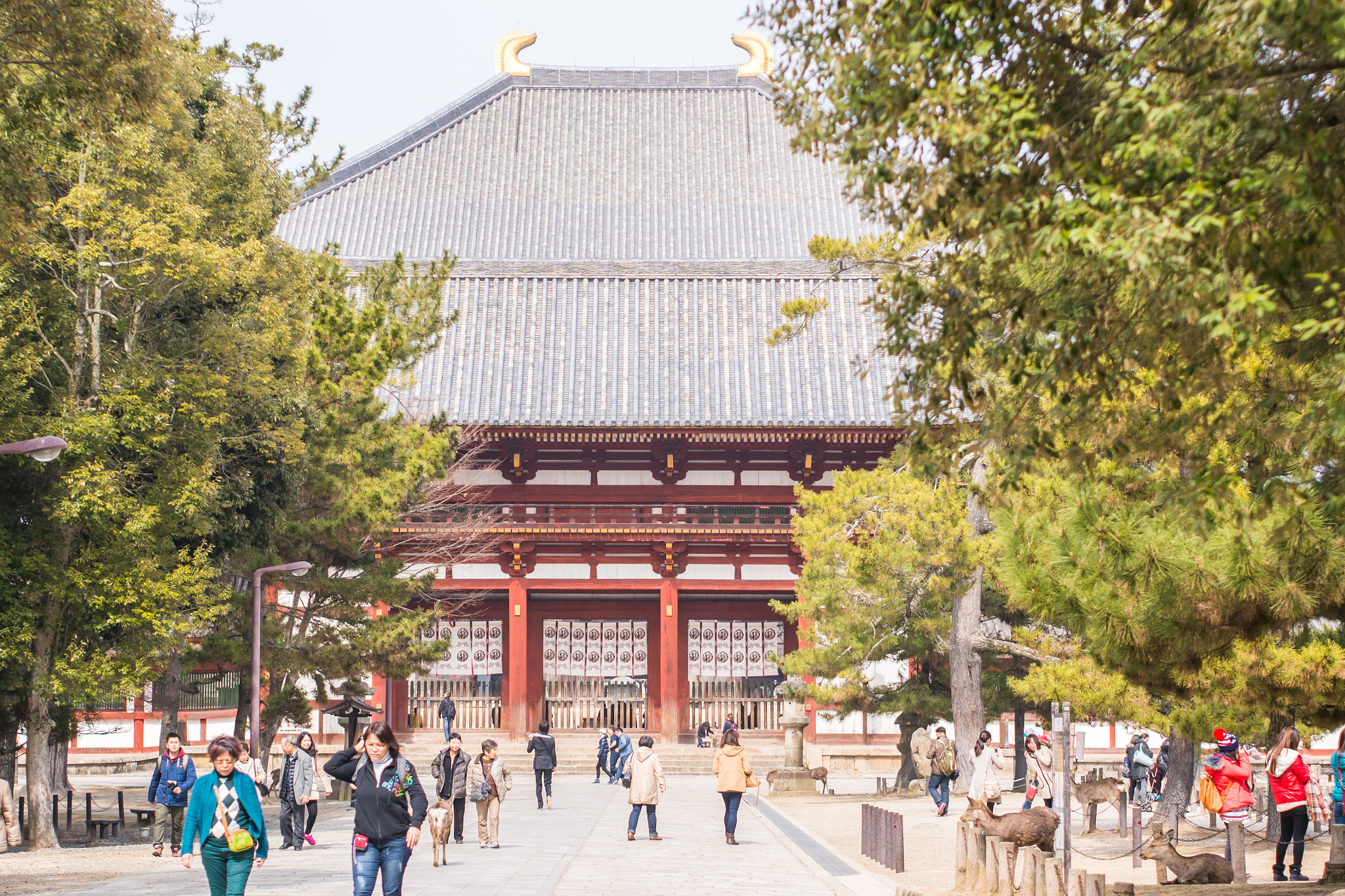 Panasonic Lumix DMC-G5 + Olympus M.Zuiko Digital 45mm F1.8 sample photo. Last gate to todai ji temple photography