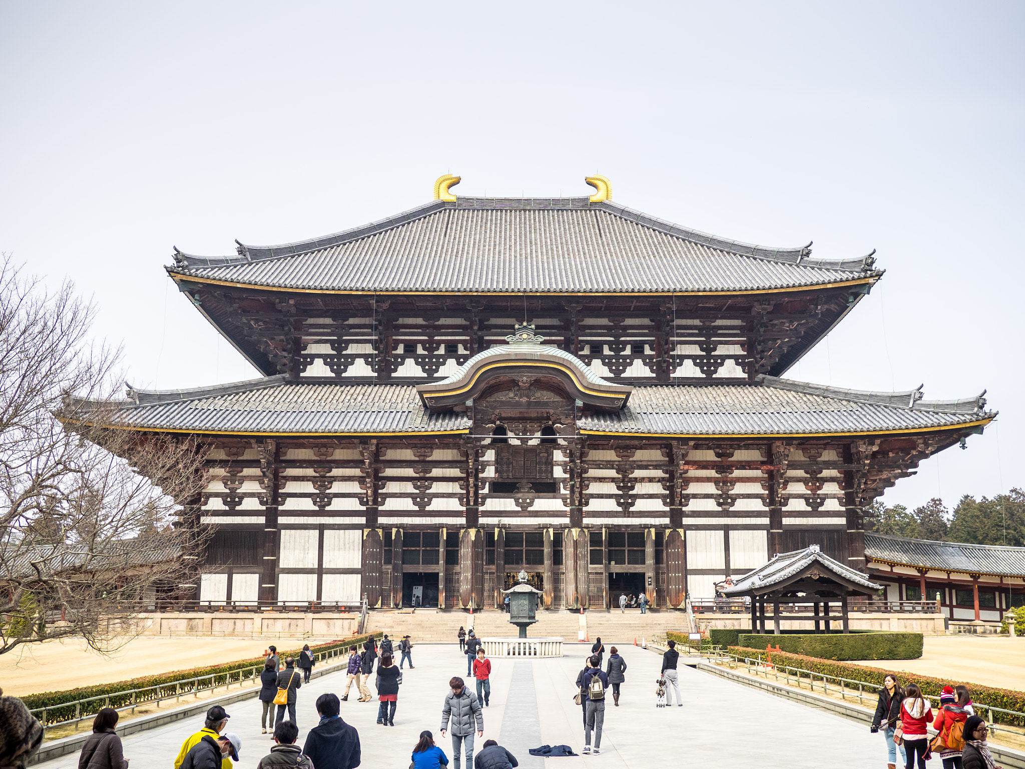 Olympus OM-D E-M1 + Panasonic Lumix G 20mm F1.7 ASPH sample photo. The todai ji temple photography