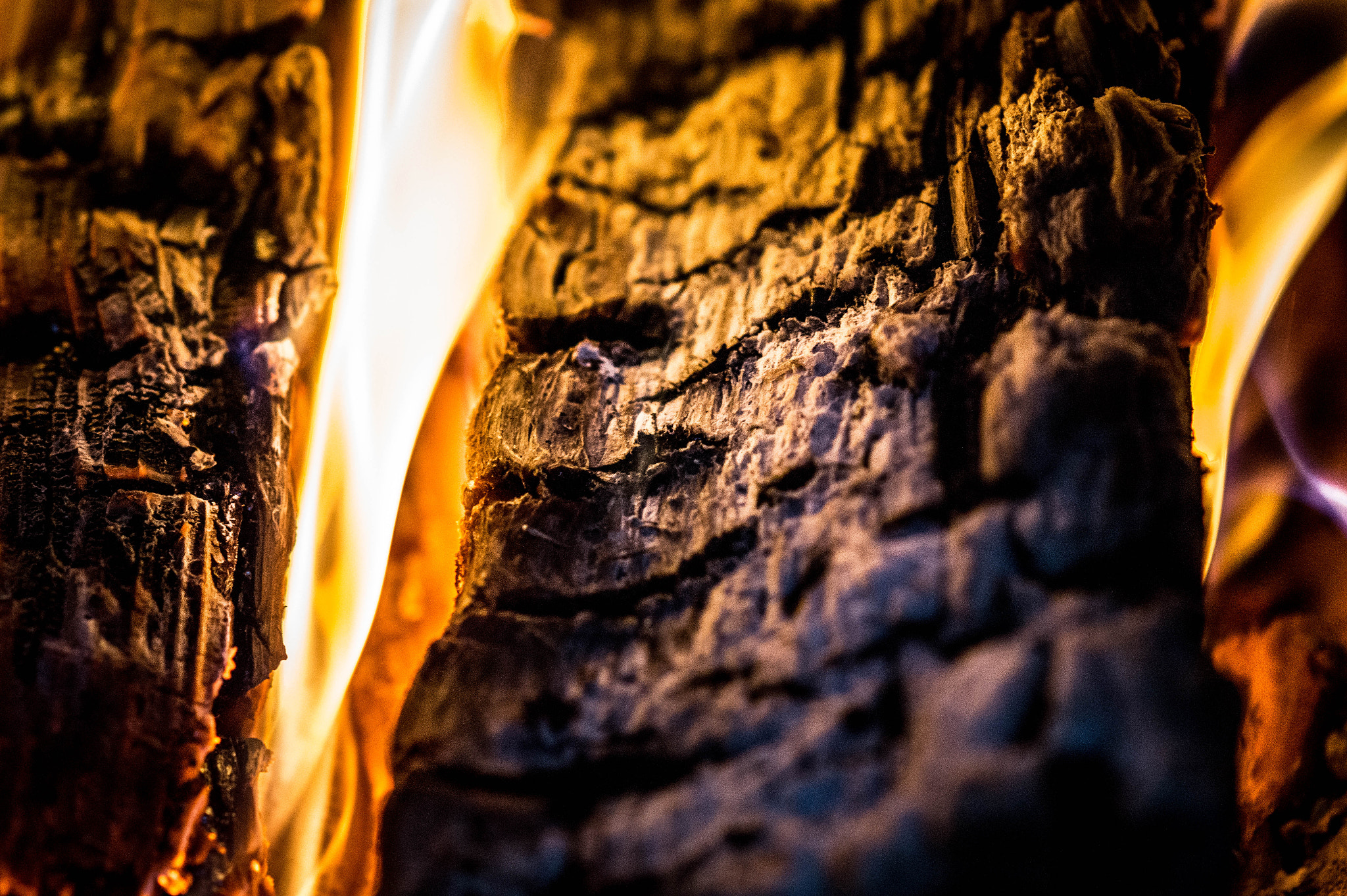 Sony SLT-A58 + Sony 100mm F2.8 Macro sample photo. Burning wood photography