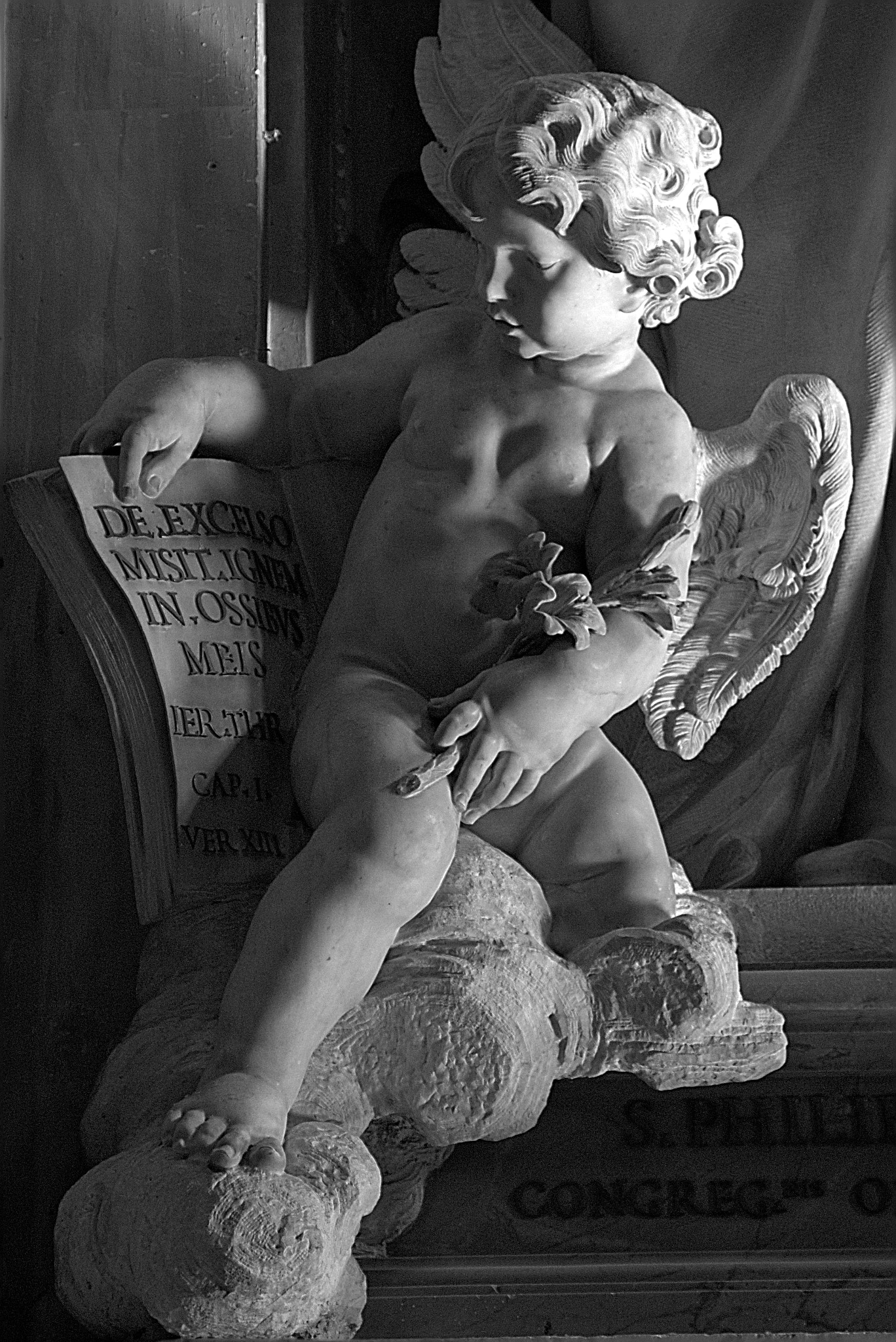 Canon EF 35-350mm F3.5-5.6L USM sample photo. Img_3787_01.jpg photography