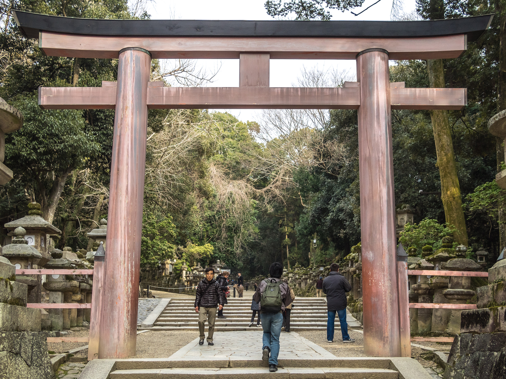 Olympus OM-D E-M1 + Panasonic Lumix G 20mm F1.7 ASPH sample photo. Torii in nara gate photography