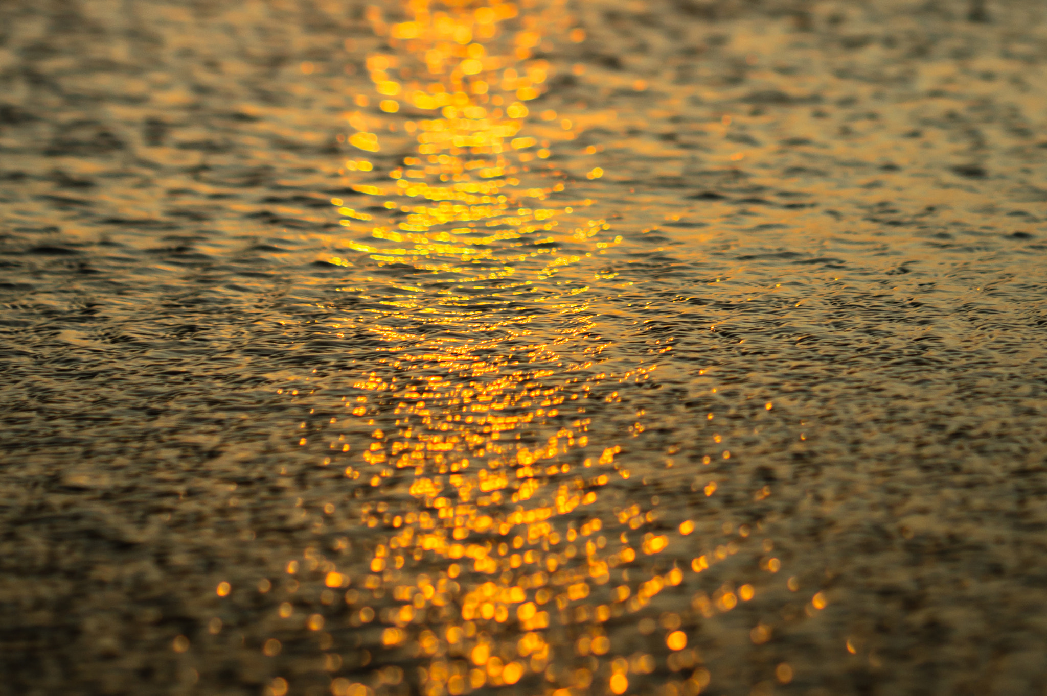 Sony Alpha NEX-5 + Sony DT 50mm F1.8 SAM sample photo. Sunset on water photography