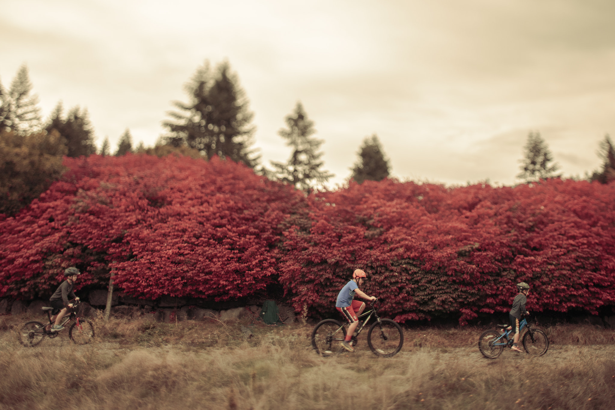 Canon EOS 6D + Canon TS-E 24mm f/3.5L sample photo. Stranger things photography