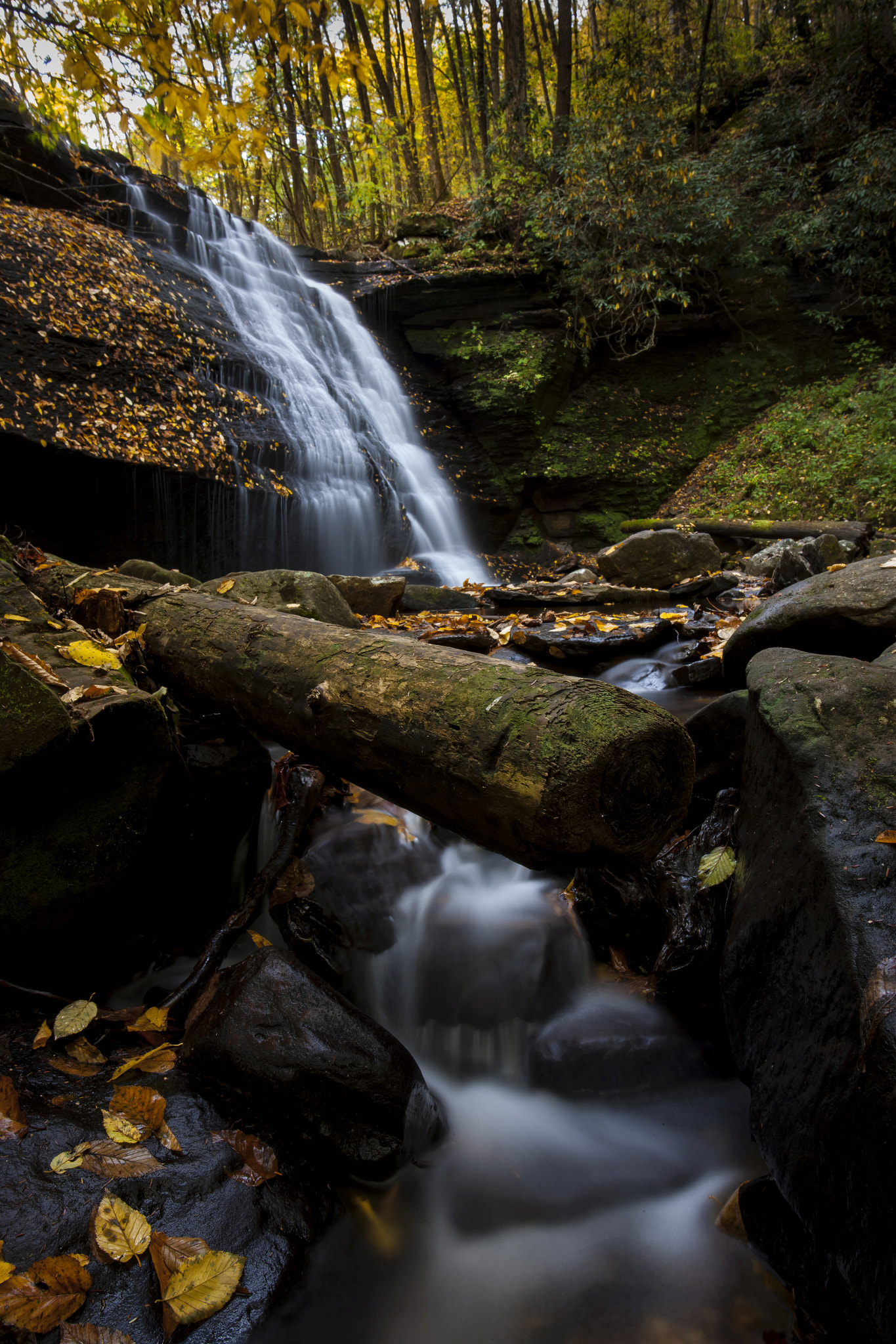 Canon EOS-1Ds Mark II + Canon EF 17-40mm F4L USM sample photo. Fall comes to the cumberlands photography