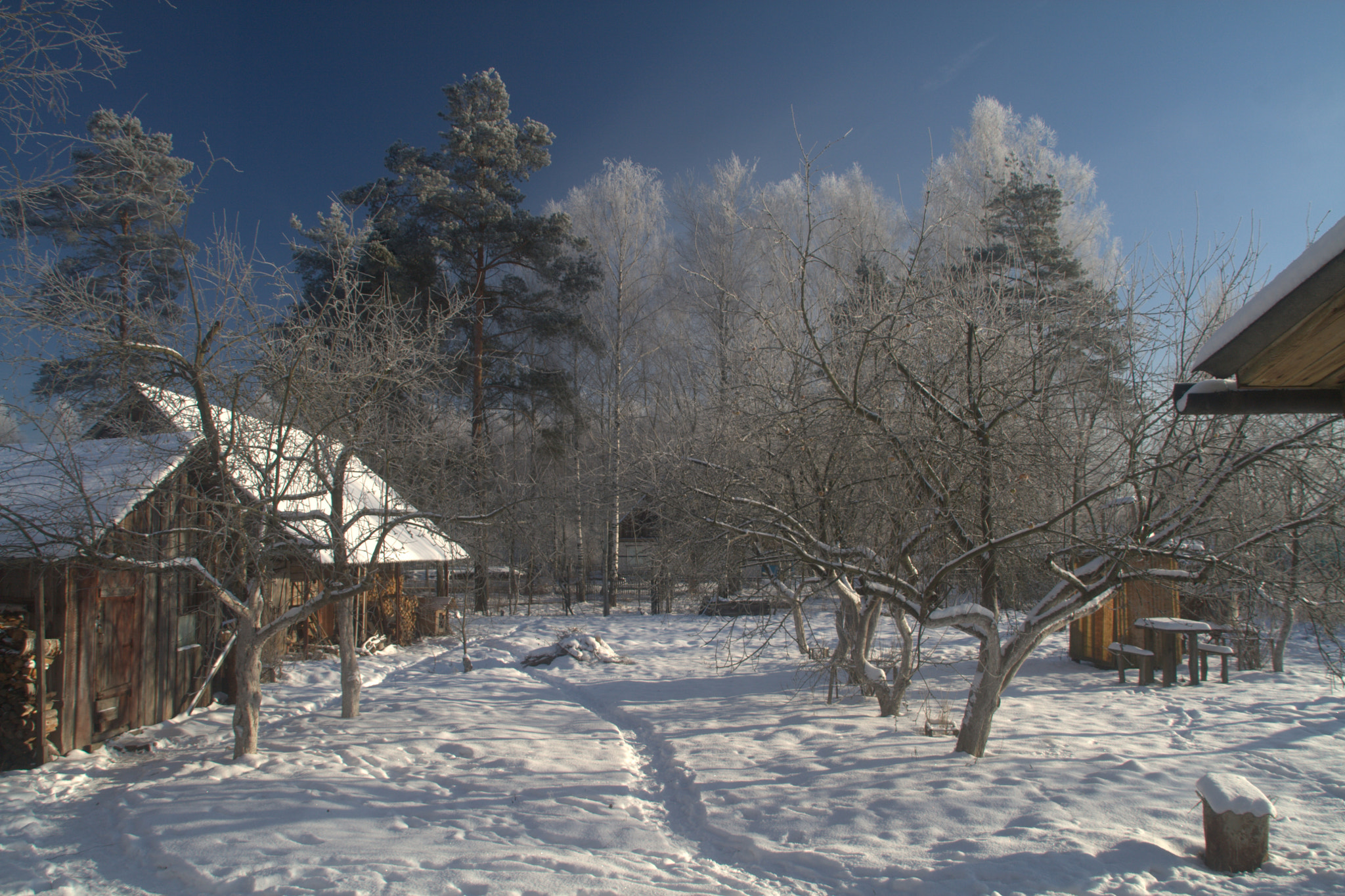 Sigma 18-200mm f/3.5-6.3 DC OS sample photo. Once upon a winter photography
