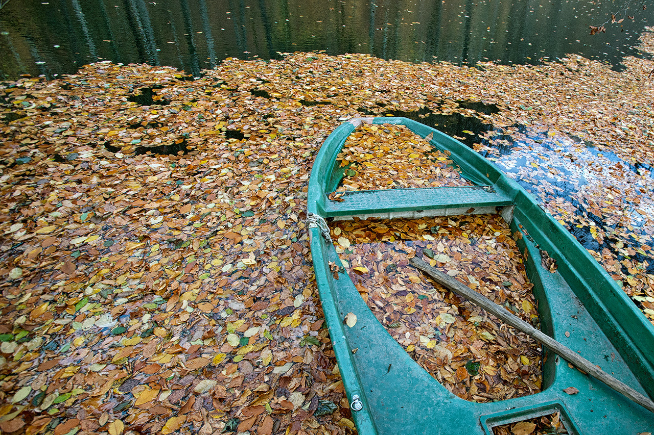 Canon EF 16-35mm F2.8L USM sample photo