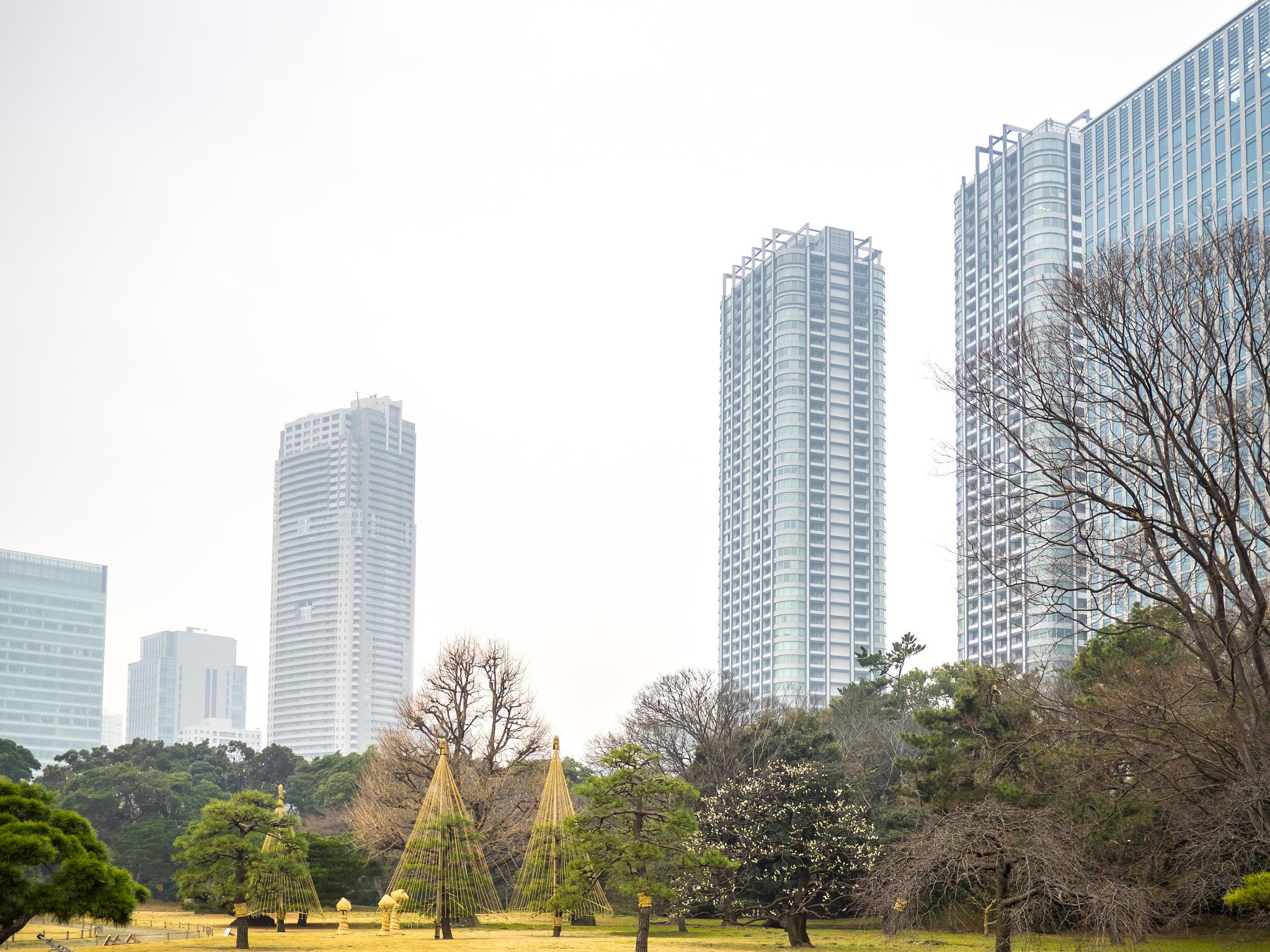 Olympus OM-D E-M1 + Panasonic Lumix G 20mm F1.7 ASPH sample photo. Tokyo contrasts photography