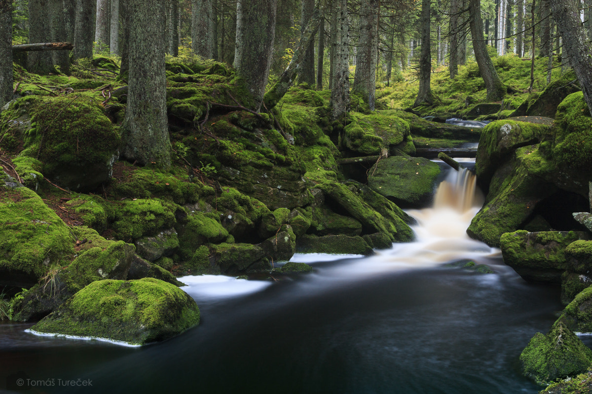 Tamron SP AF 17-50mm F2.8 XR Di II LD Aspherical (IF) sample photo. Filipohuťský creek ii photography