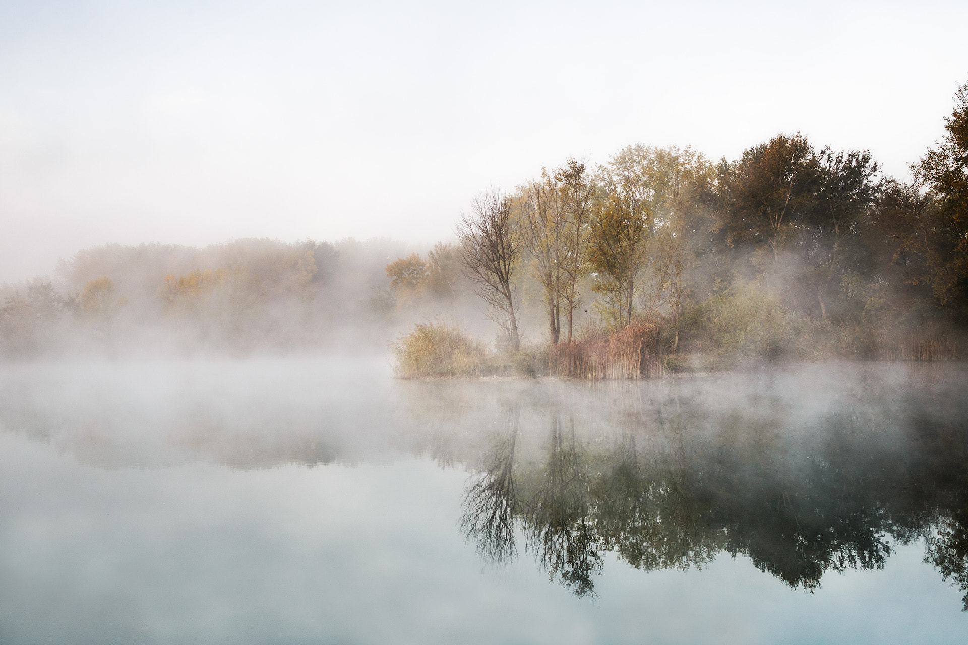Canon EOS 6D + EF28-70mm f/2.8L USM sample photo. Lost in fog photography