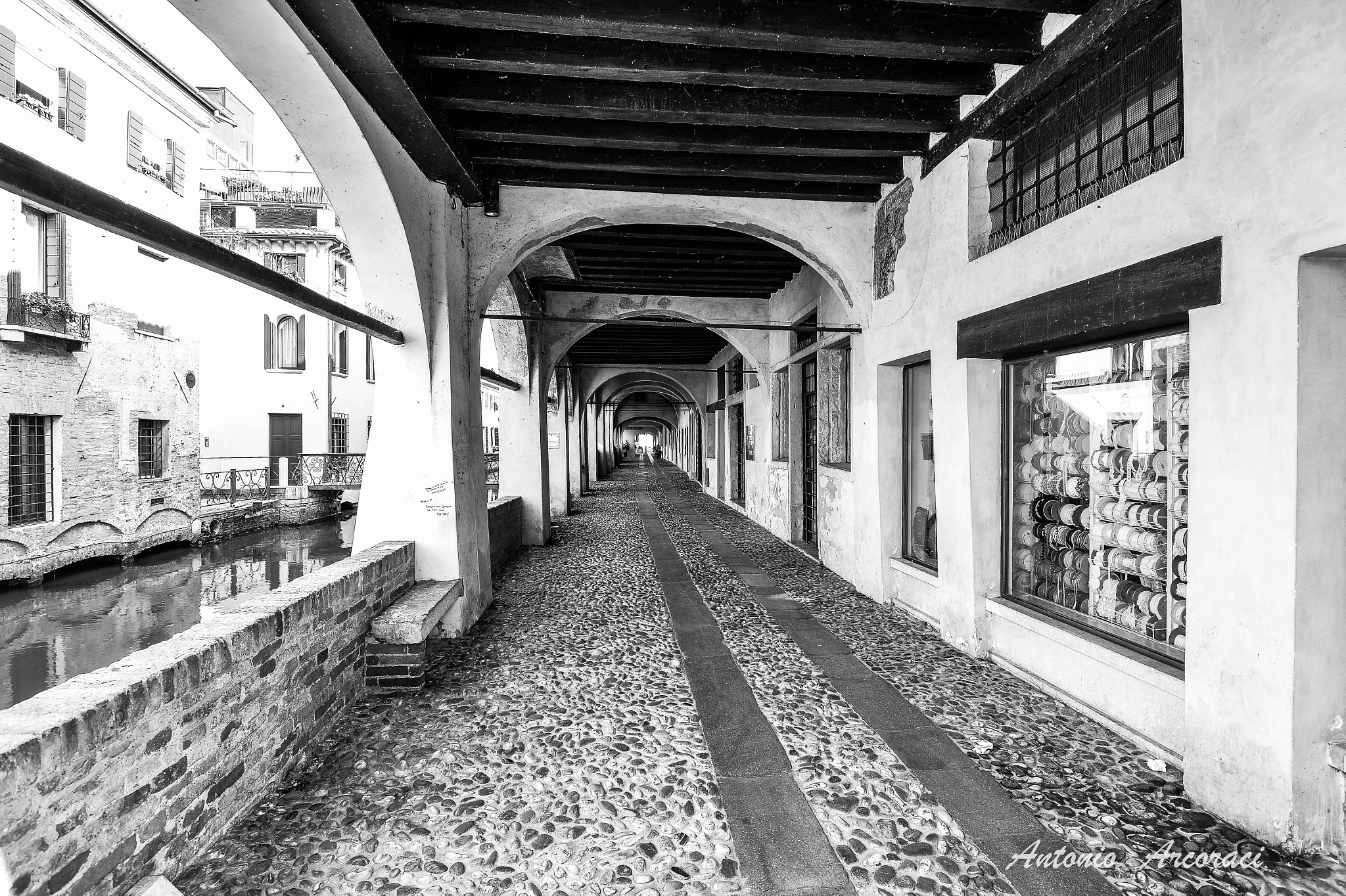 Nikon D4 sample photo. Treviso  black and white photography