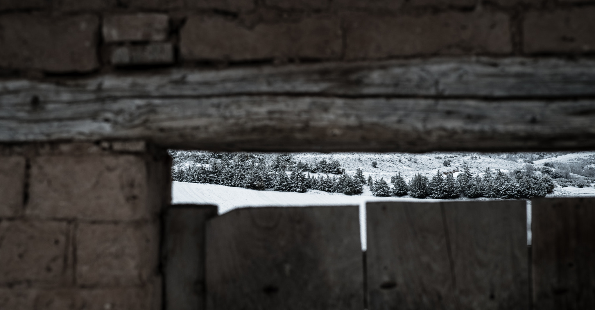 Fujifilm X-Pro1 + Fujifilm XF 60mm F2.4 R Macro sample photo. Utande photography