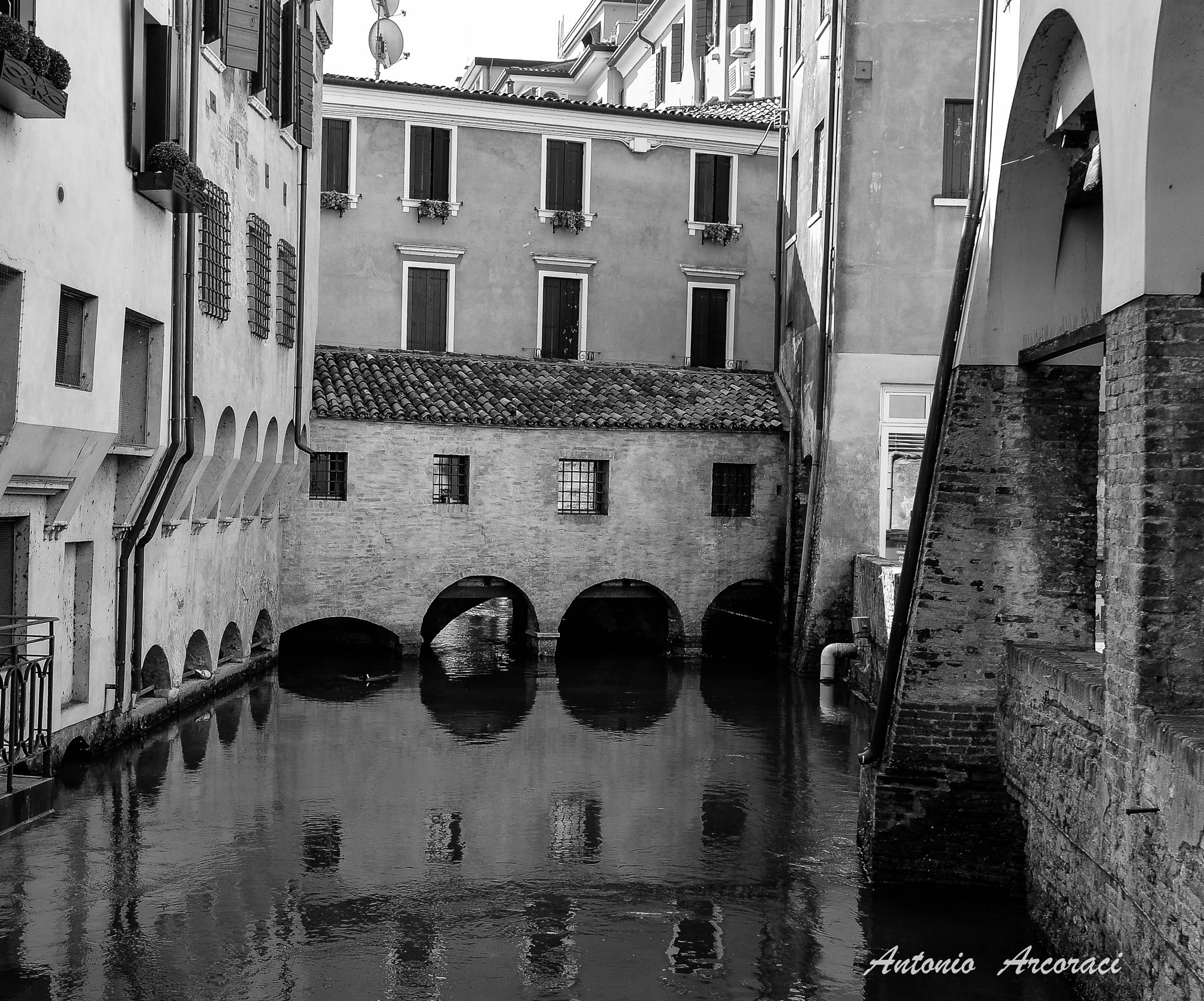 Nikon D4 sample photo. Treviso black and white 1 photography