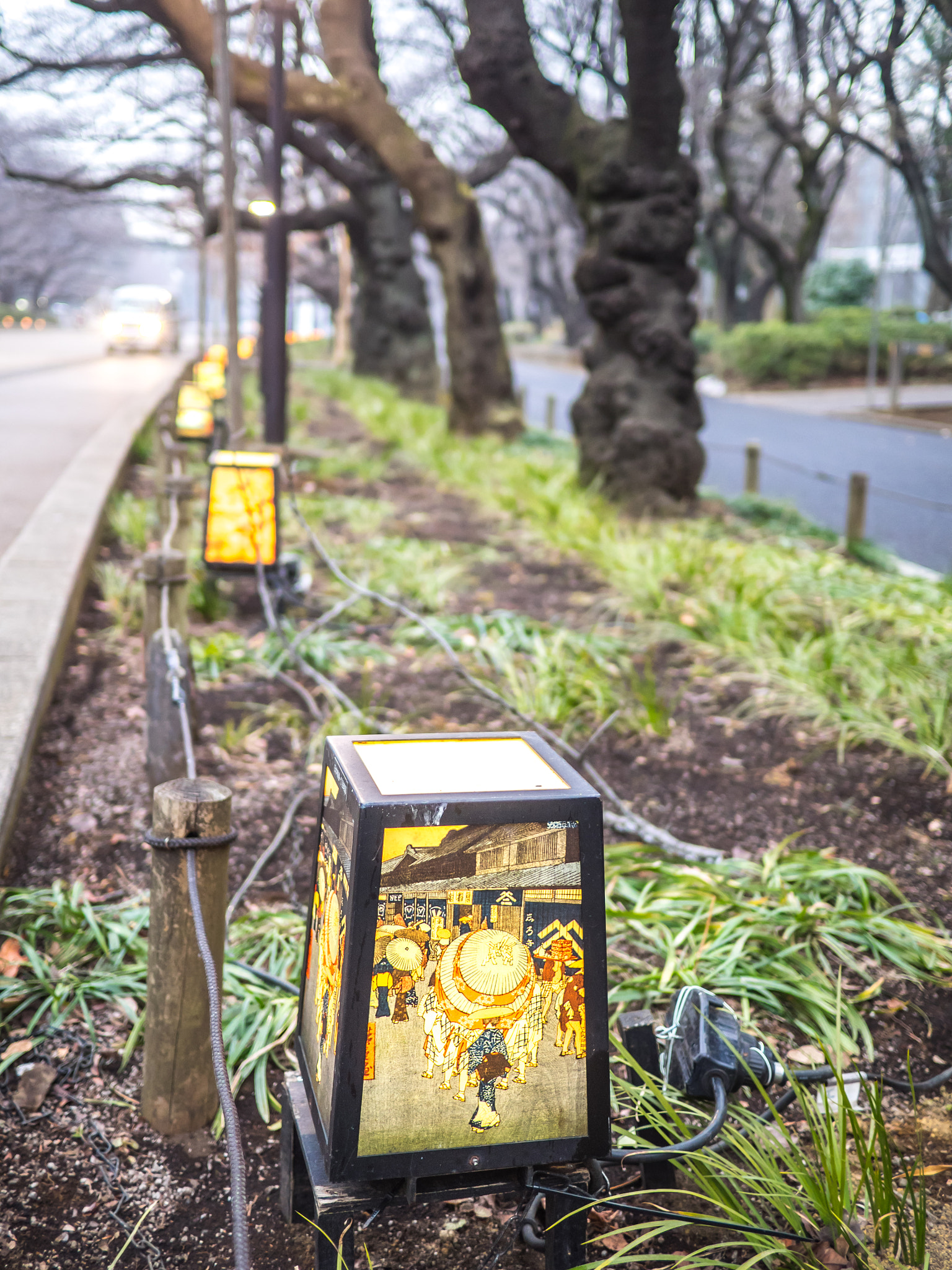 Olympus OM-D E-M1 + Panasonic Lumix G 20mm F1.7 ASPH sample photo. Lamps of ueno park photography