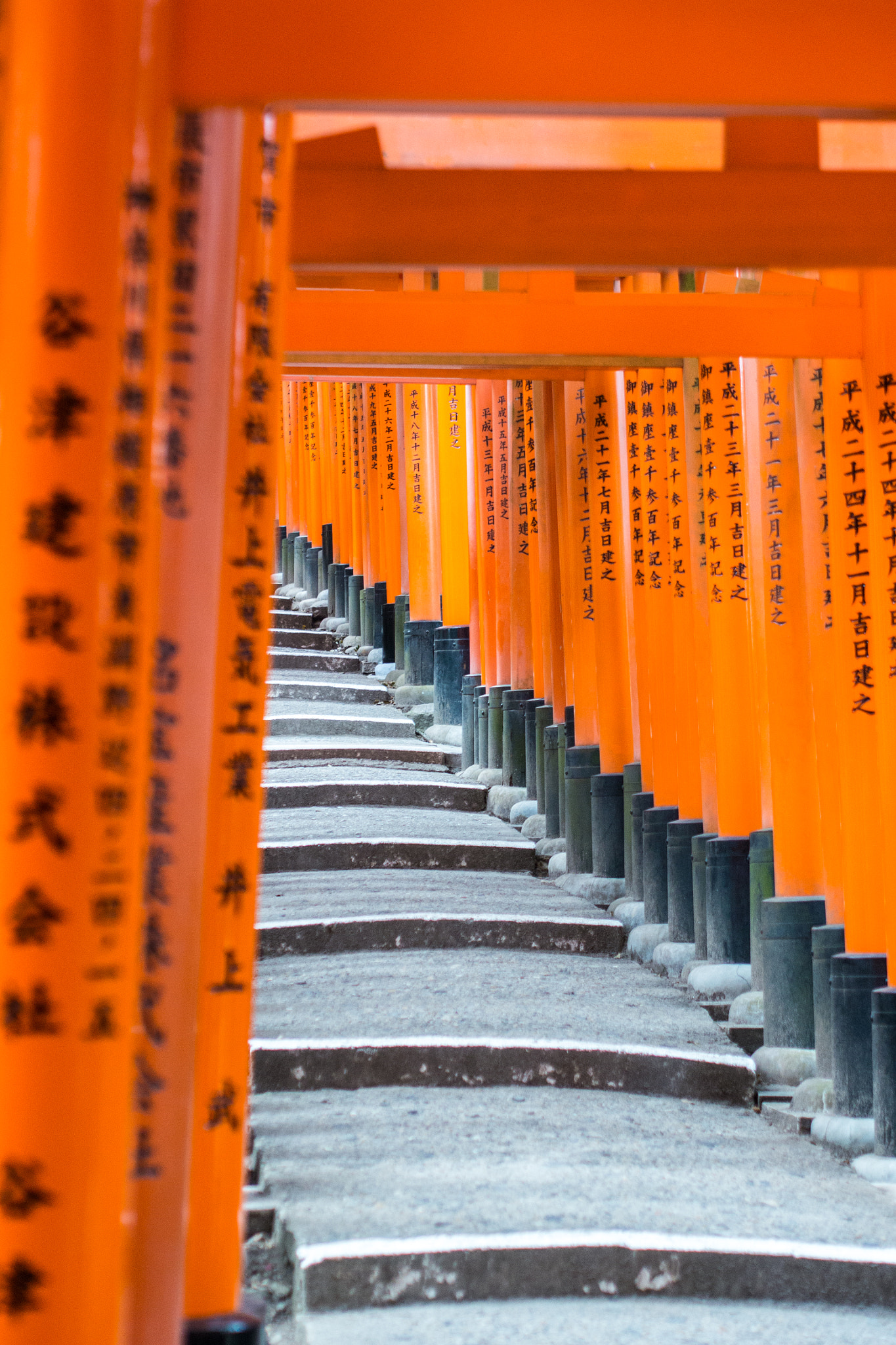 Panasonic Lumix DMC-G5 + Olympus M.Zuiko Digital 45mm F1.8 sample photo. The fushimi inari gates photography