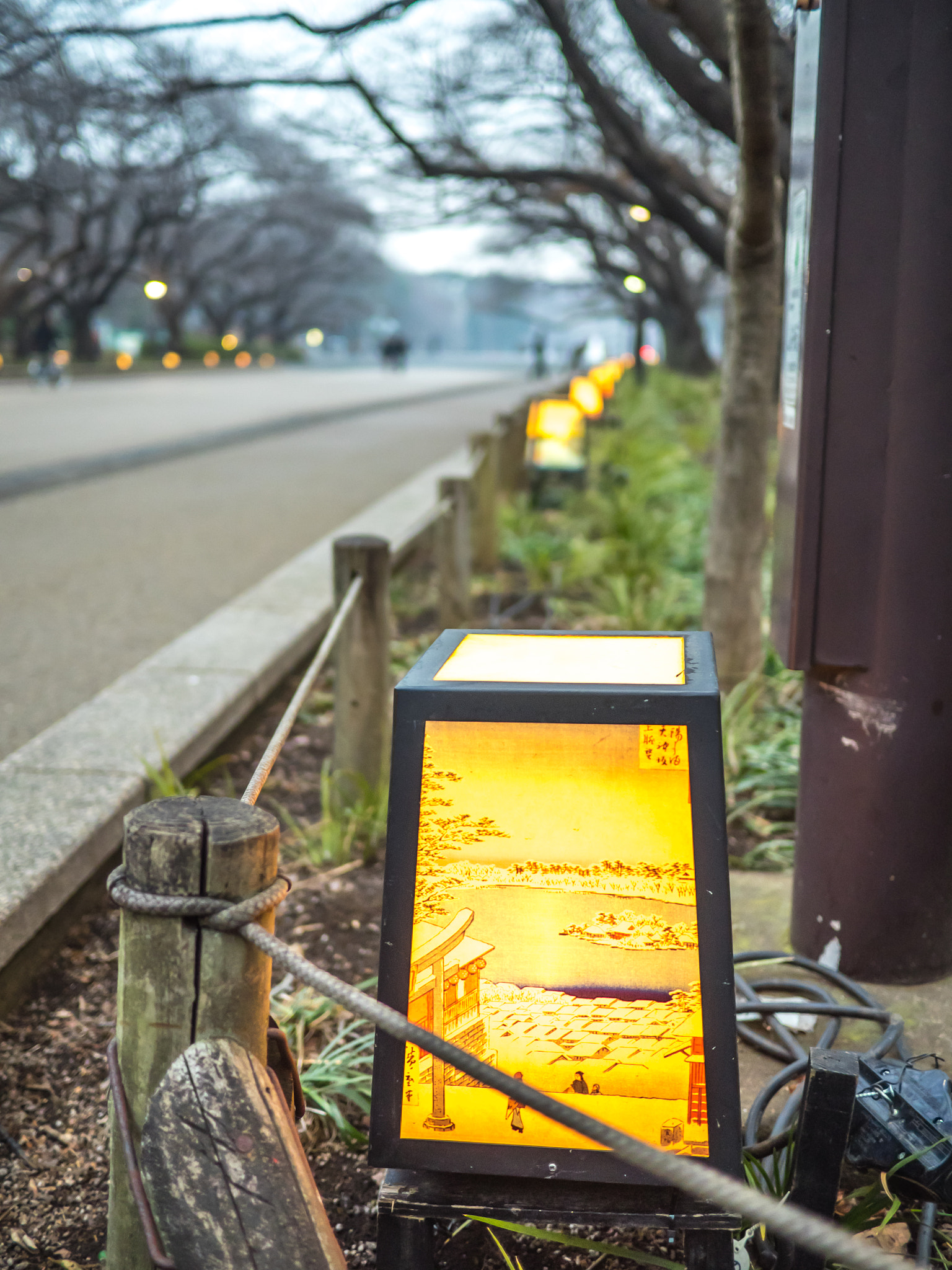 Olympus OM-D E-M1 + Panasonic Lumix G 20mm F1.7 ASPH sample photo. Lamps of ueno park photography