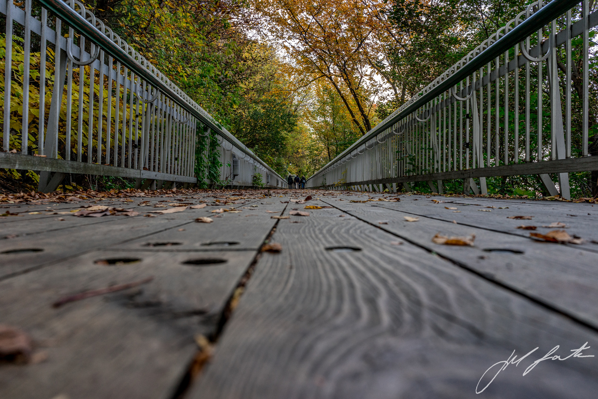 Sony a7R + Sony FE 28mm F2 sample photo. Autumn in quebec photography