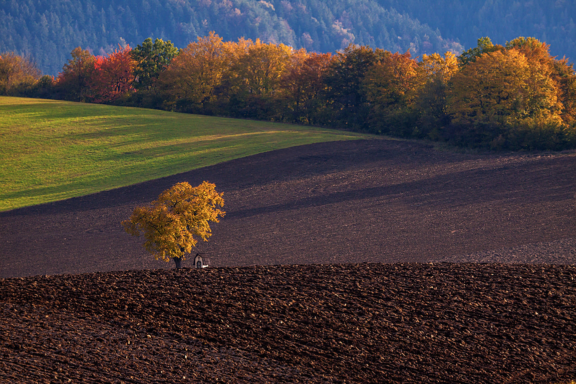 Tamron SP 150-600mm F5-6.3 Di VC USD sample photo. Colours of liptov county photography