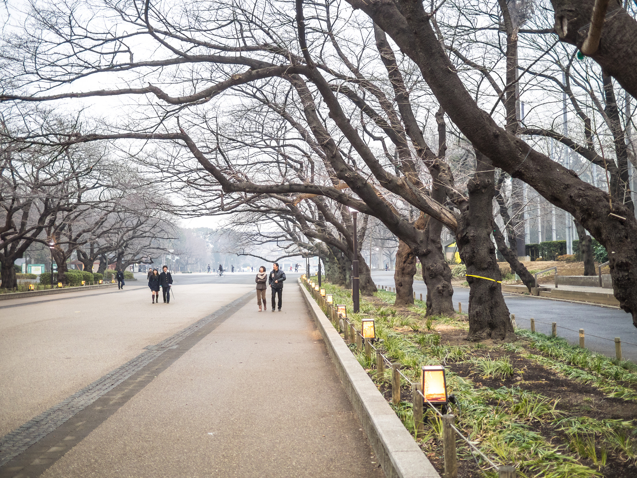 Olympus OM-D E-M1 + Panasonic Lumix G 20mm F1.7 ASPH sample photo. Walking in ueno park photography