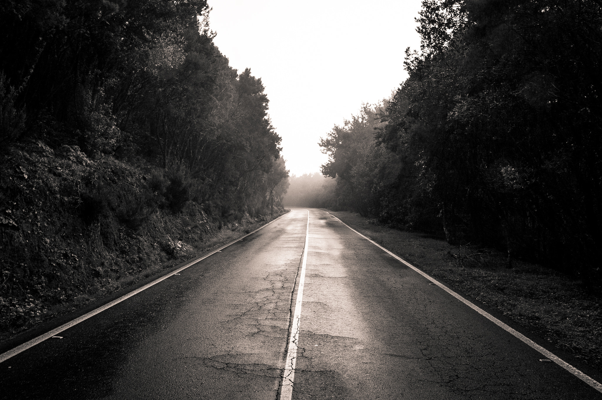 Sigma 17-50mm F2.8 EX DC OS HSM sample photo. Wet road photography
