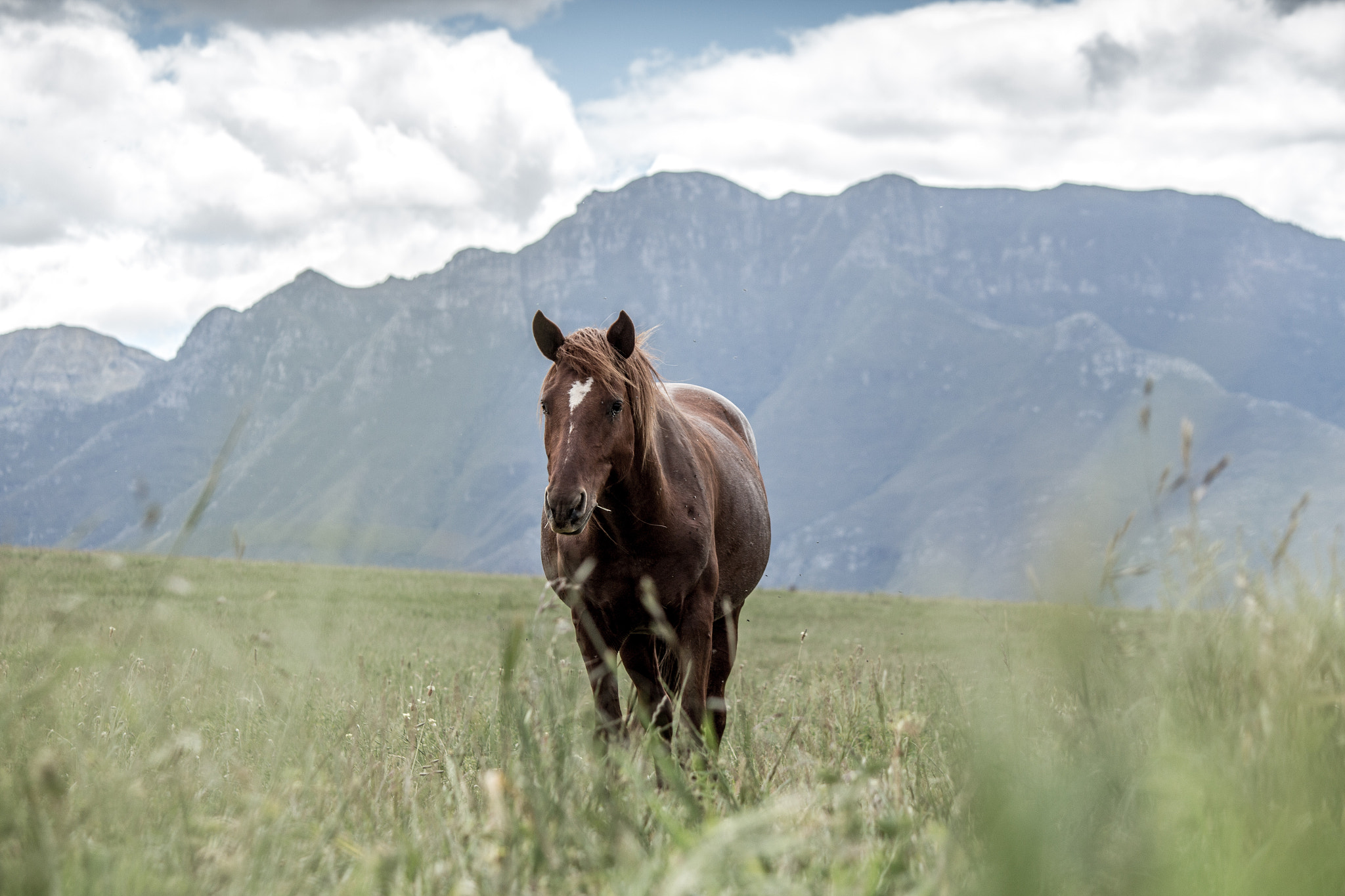 Canon EF-S 55-250mm F4-5.6 IS sample photo. Beautiful encounter photography