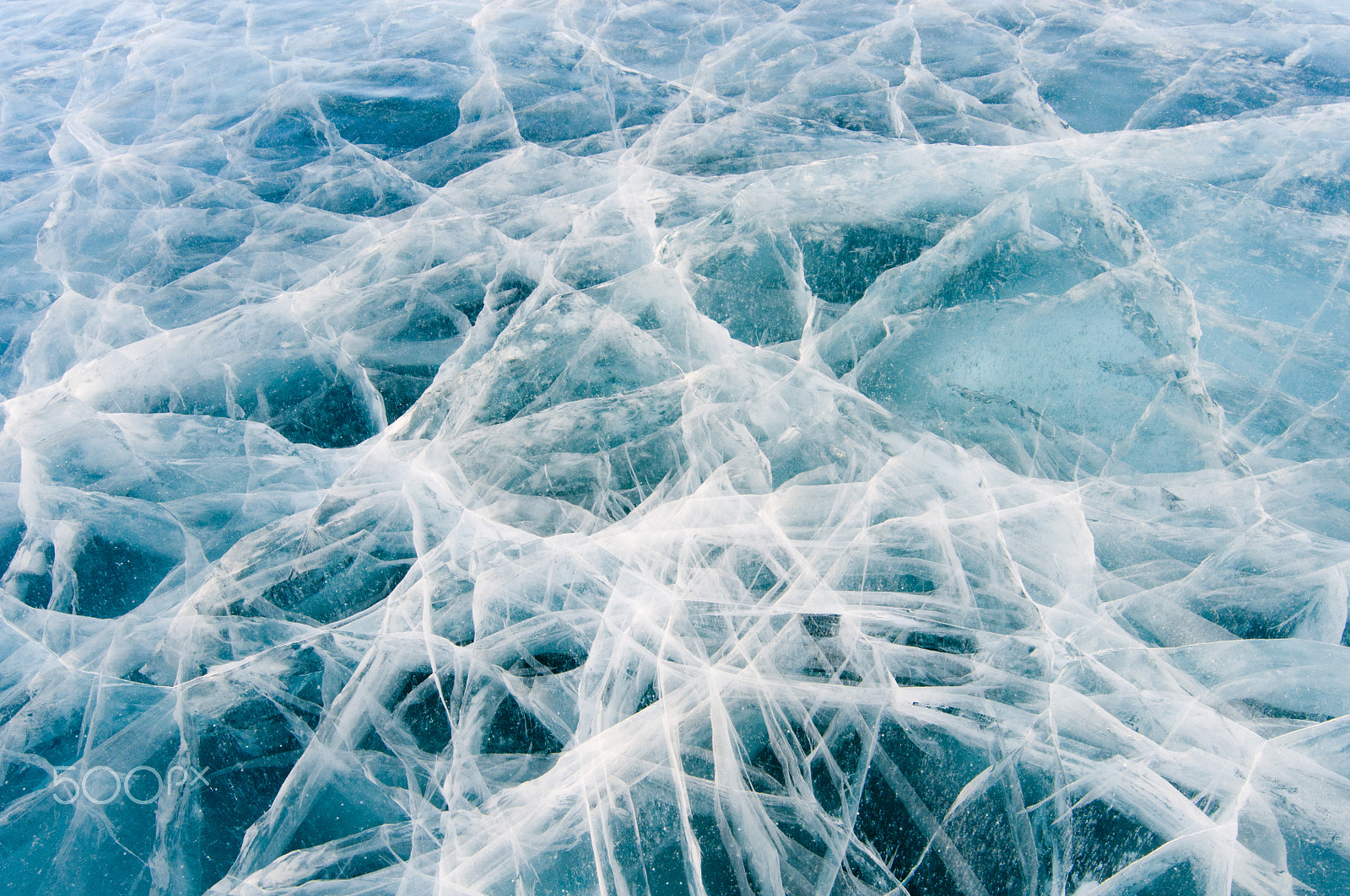Nikon D300 sample photo. Ice cracked from the cold. photography