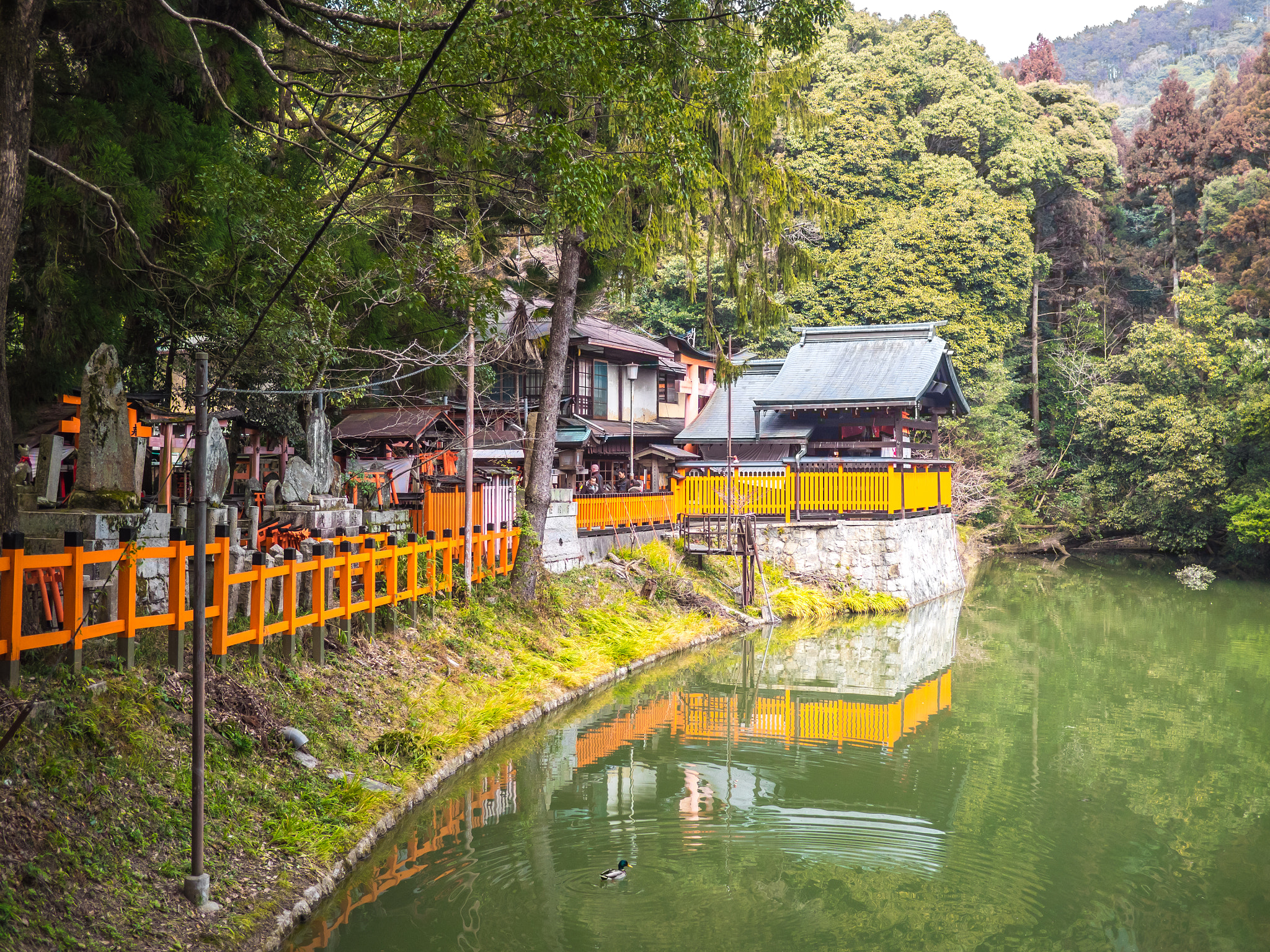 Olympus OM-D E-M1 + Panasonic Lumix G 20mm F1.7 ASPH sample photo. Fushimi inari taishi shrine photography