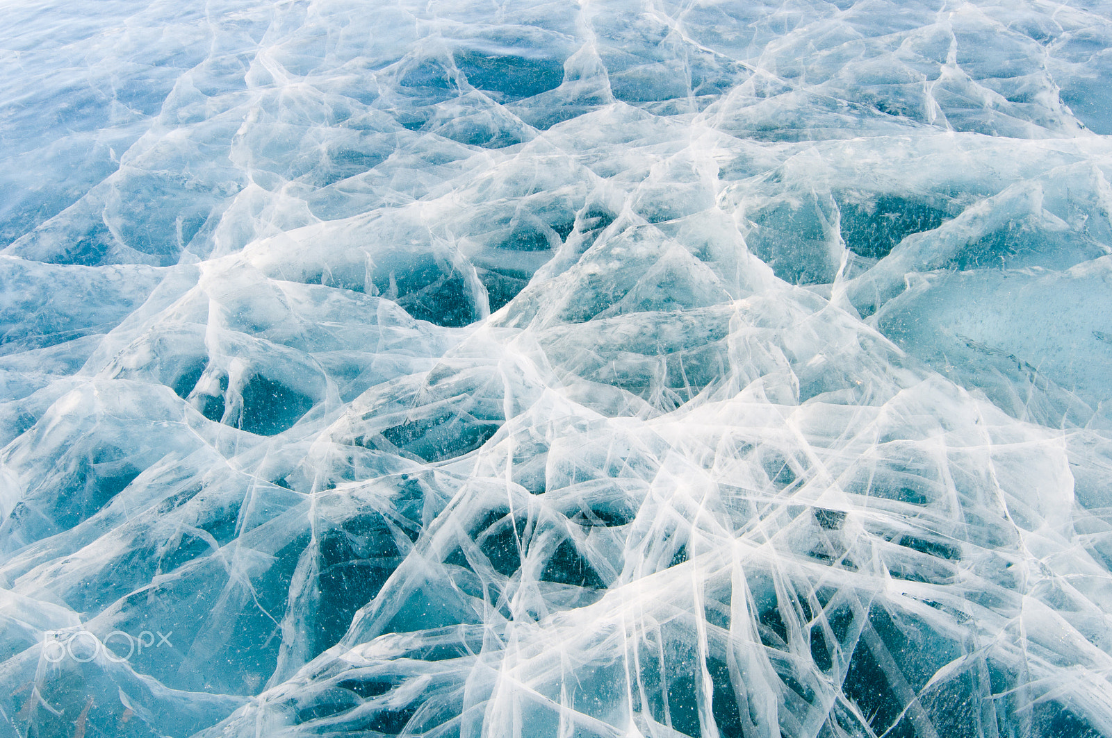 Nikon D300 sample photo. Ice cracked from the cold. photography