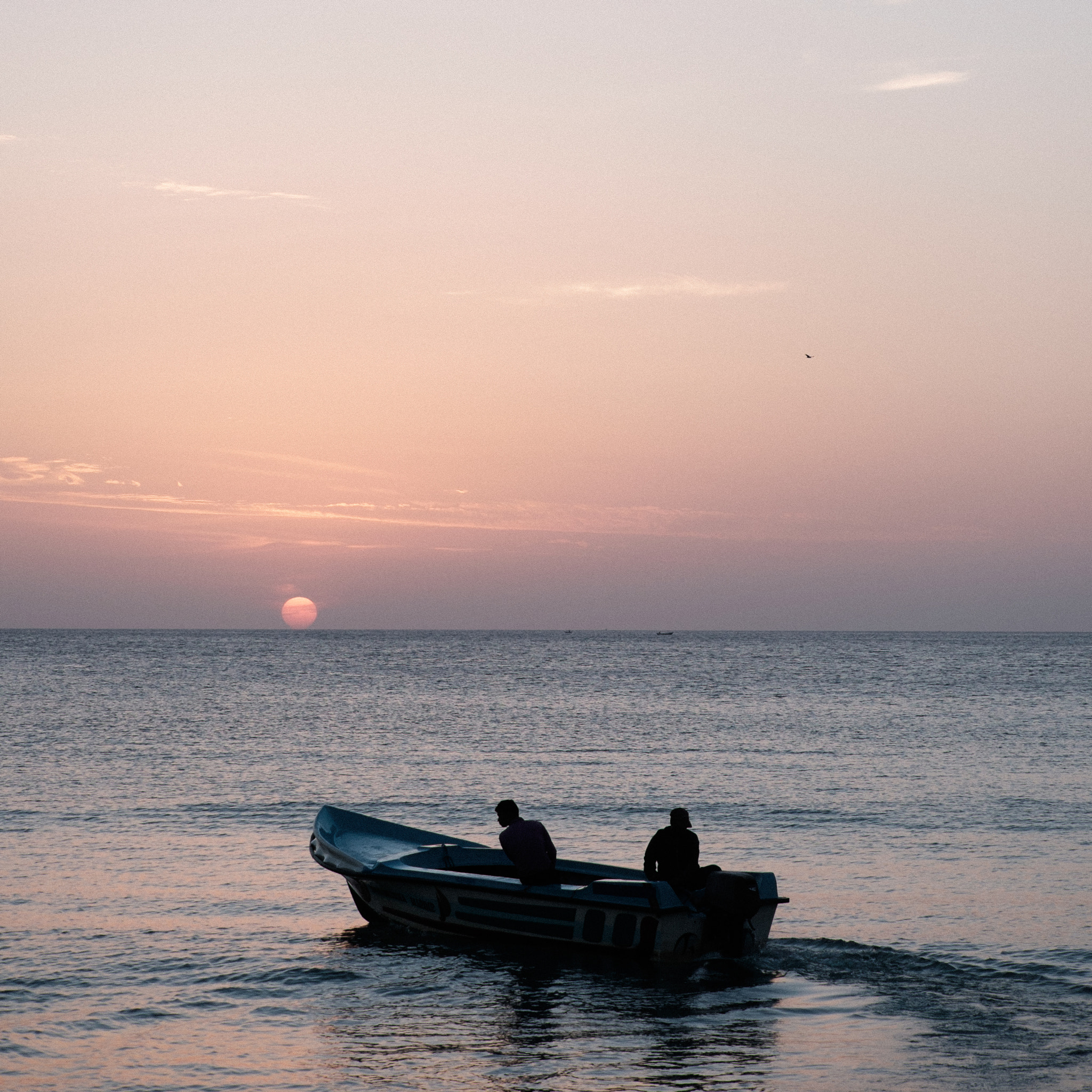 Fujifilm X-T1 + Fujifilm XC 50-230mm F4.5-6.7 OIS II sample photo. Sri lanka photography