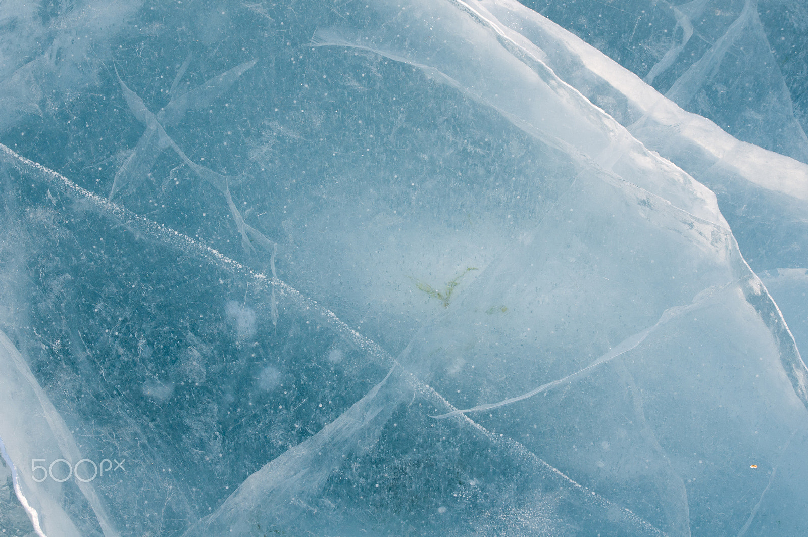 Nikon D300 sample photo. Ice cracked from the cold. photography