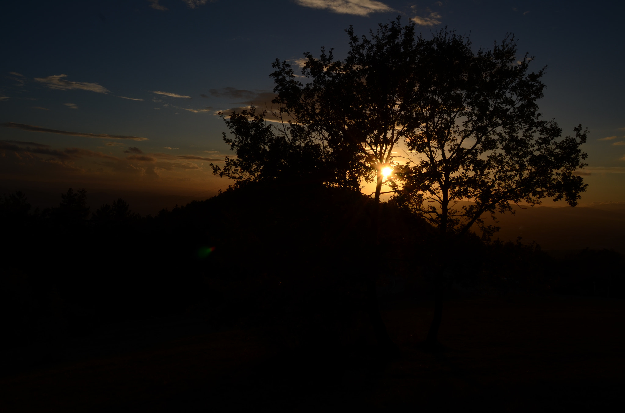 Sigma 18-200mm F3.5-6.3 II DC OS HSM sample photo. Sunset in tree photography