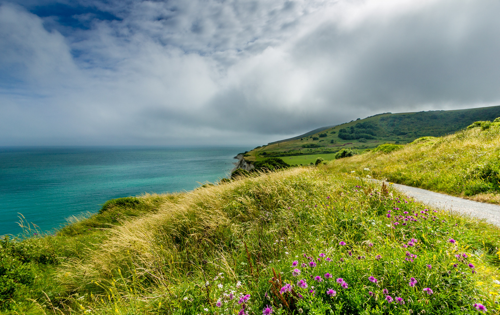 Sigma 10-20mm F3.5 EX DC HSM sample photo. Meadow on the sea photography